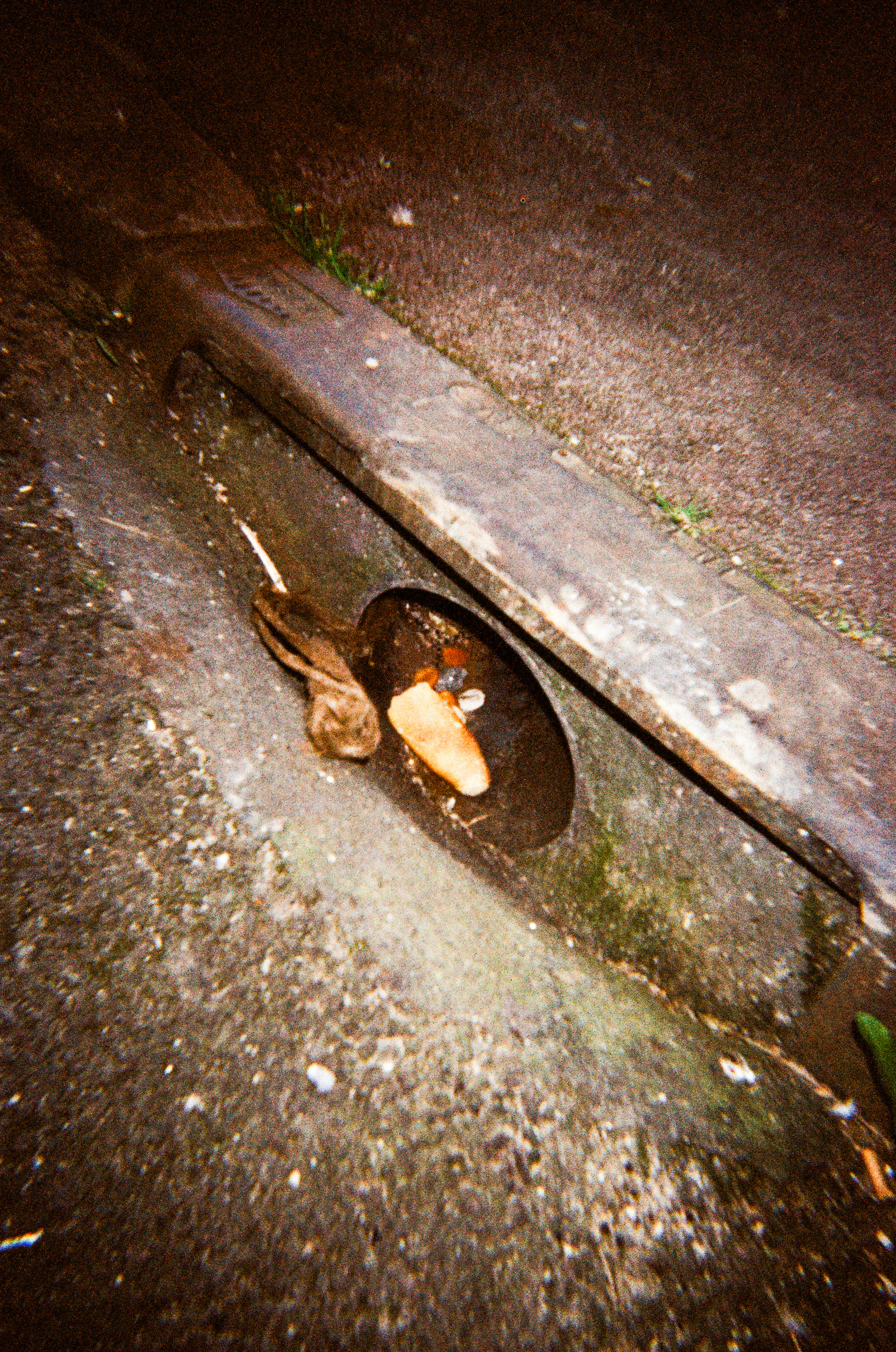 Limoges, Haute-Vienne, Nouvelle-Aquitaine, France, 2026