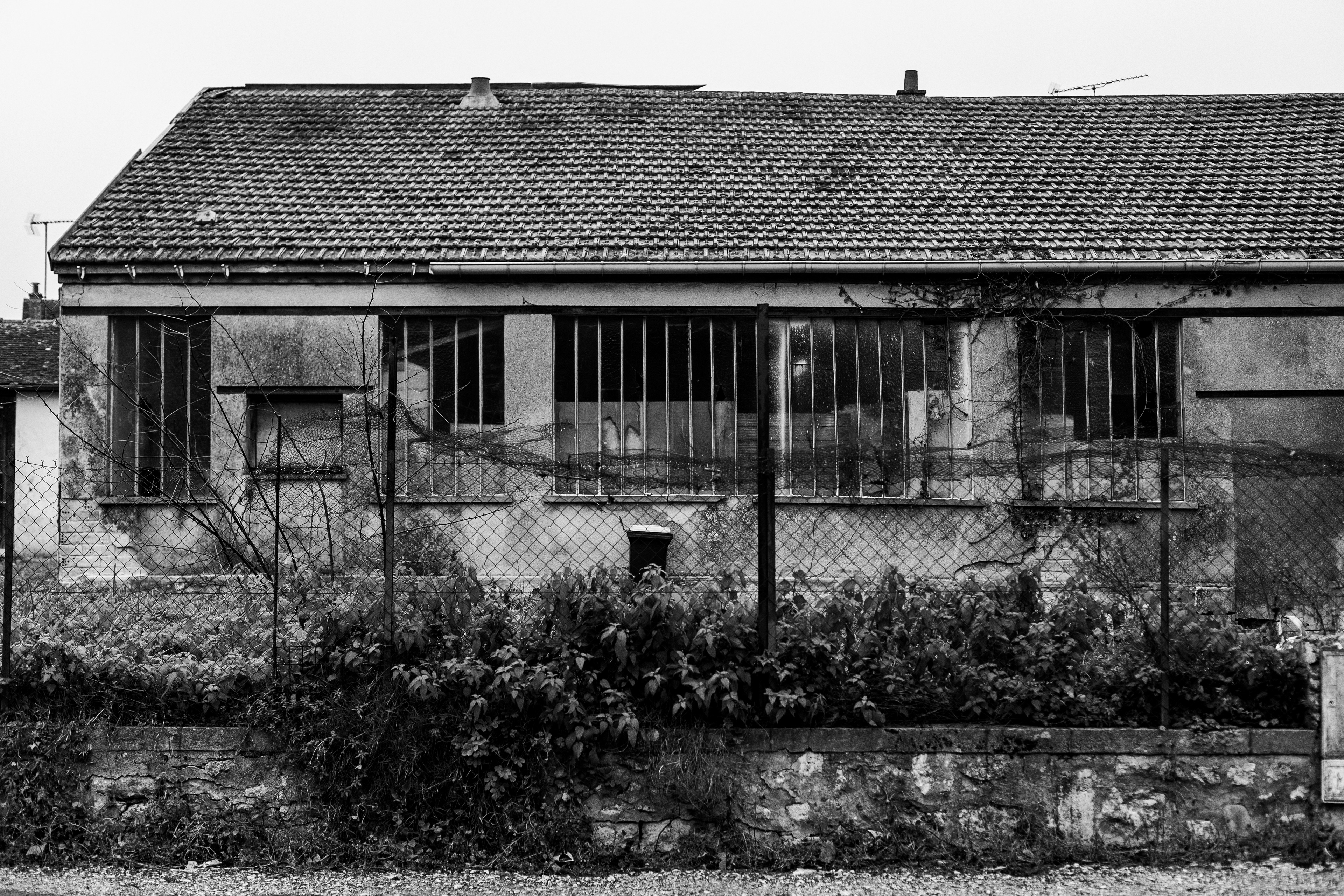 77160, Provins, Seine-et-Marne, Ile-de-France, France77160, Provins, Seine-et-Marne, Ile-de-France, France, 202477160, Provins, Seine-et-Marne, Ile-de-France, France77160, Provins, Seine-et-Marne, Ile-de-France, France, 2024 (Numérique)