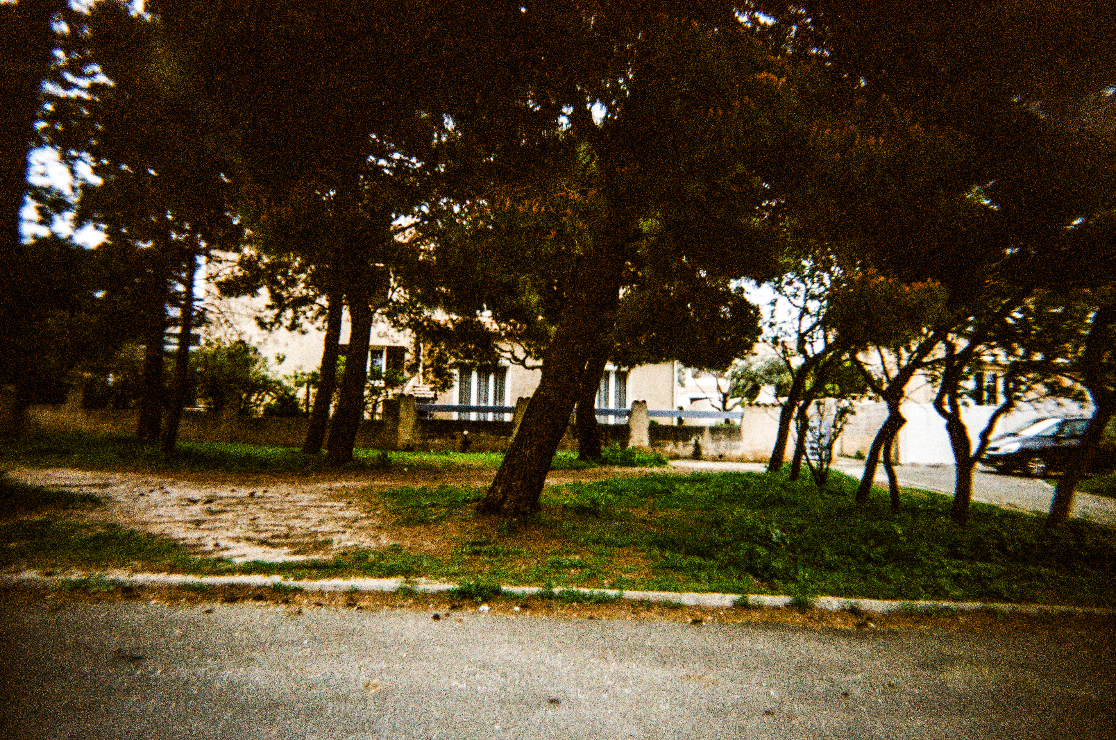 11100, Narbonne, Aude, Occitanie, France, 2026 (Argentique)