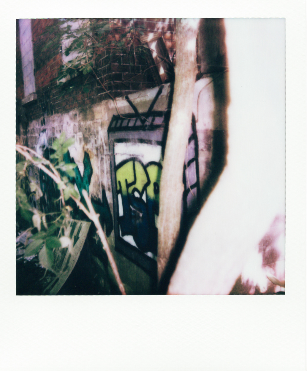 Série "Persistance", Parc Edmond-de-Rothschild, 2026 (Polaroid)