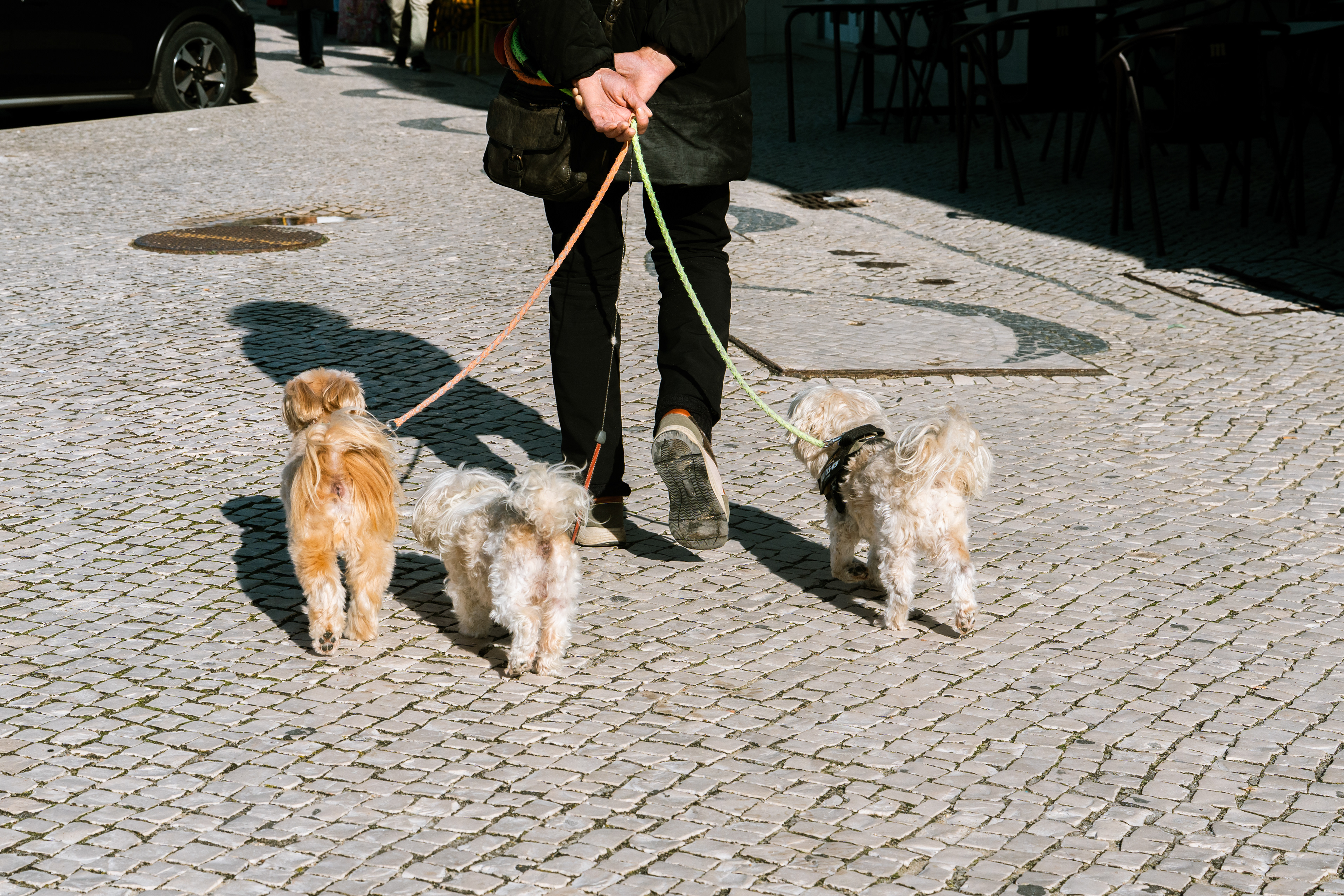 Nazaré, Ouest, Portugal, 2026
