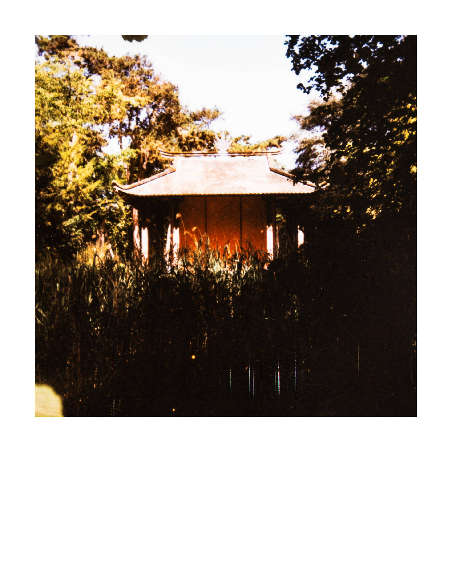 Maison cochinchinoise, Jardin d'agronomie tropicale René Dumont, Paris, Ile-de-France, France, 2026 (Polaroid)