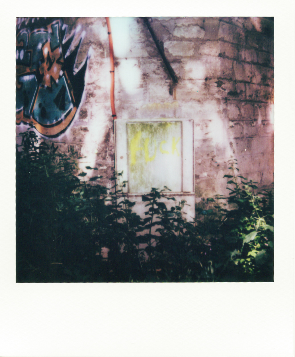 Série "Persistance", Parc Edmond-de-Rothschild, 2026 (Polaroid)