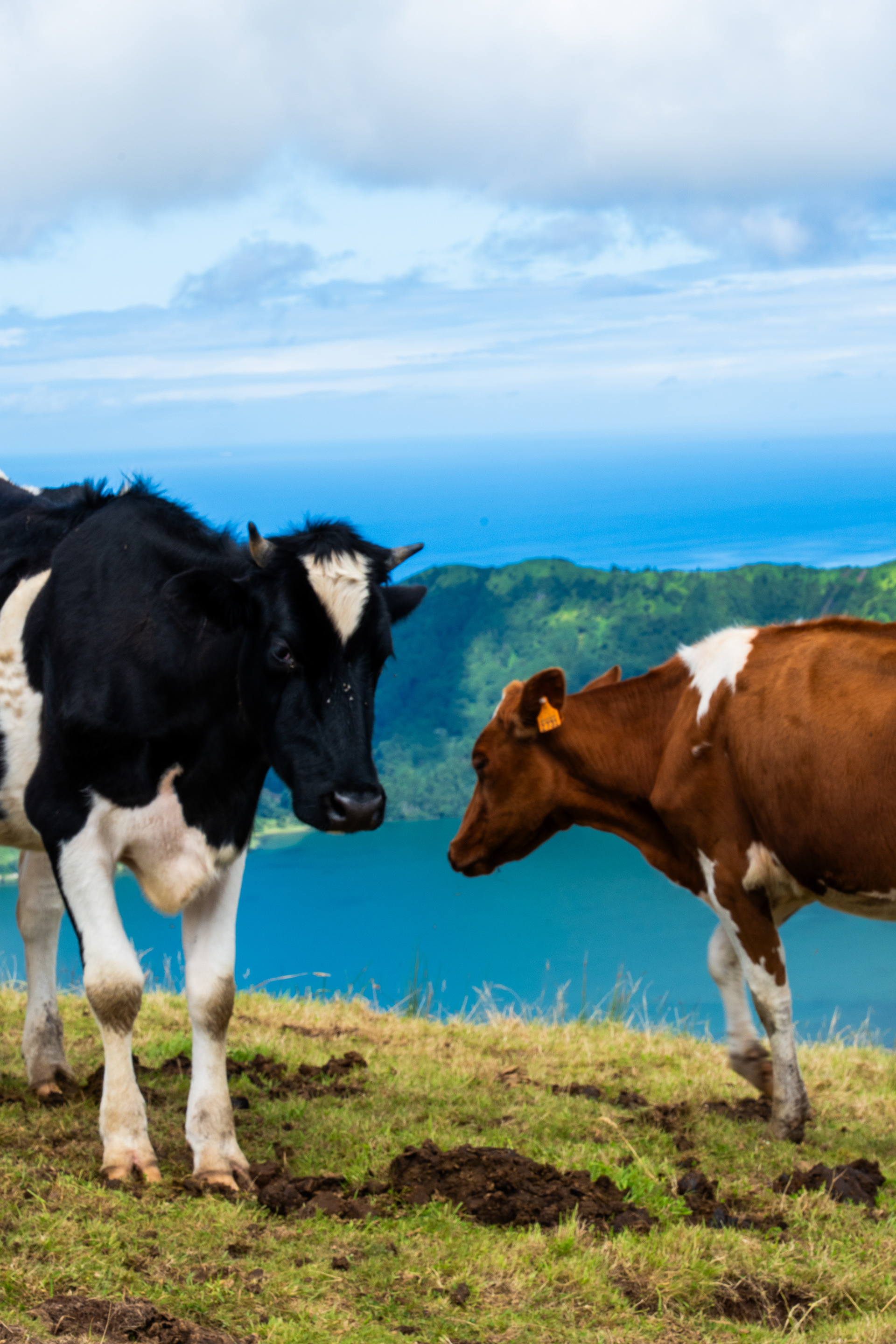 São Miguel, Azores, Portugal, 2025