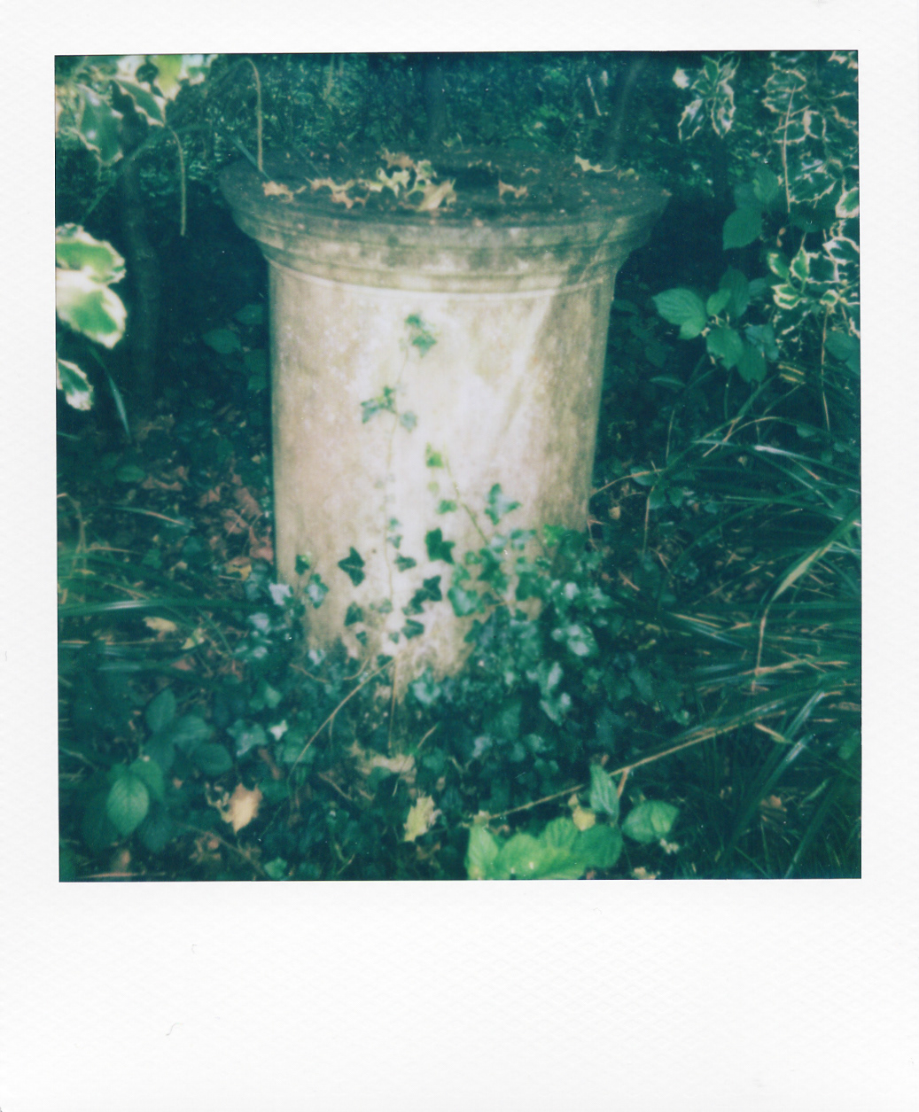 Série "Persistance", Parc Edmond-de-Rothschild, 2026 (Polaroid)