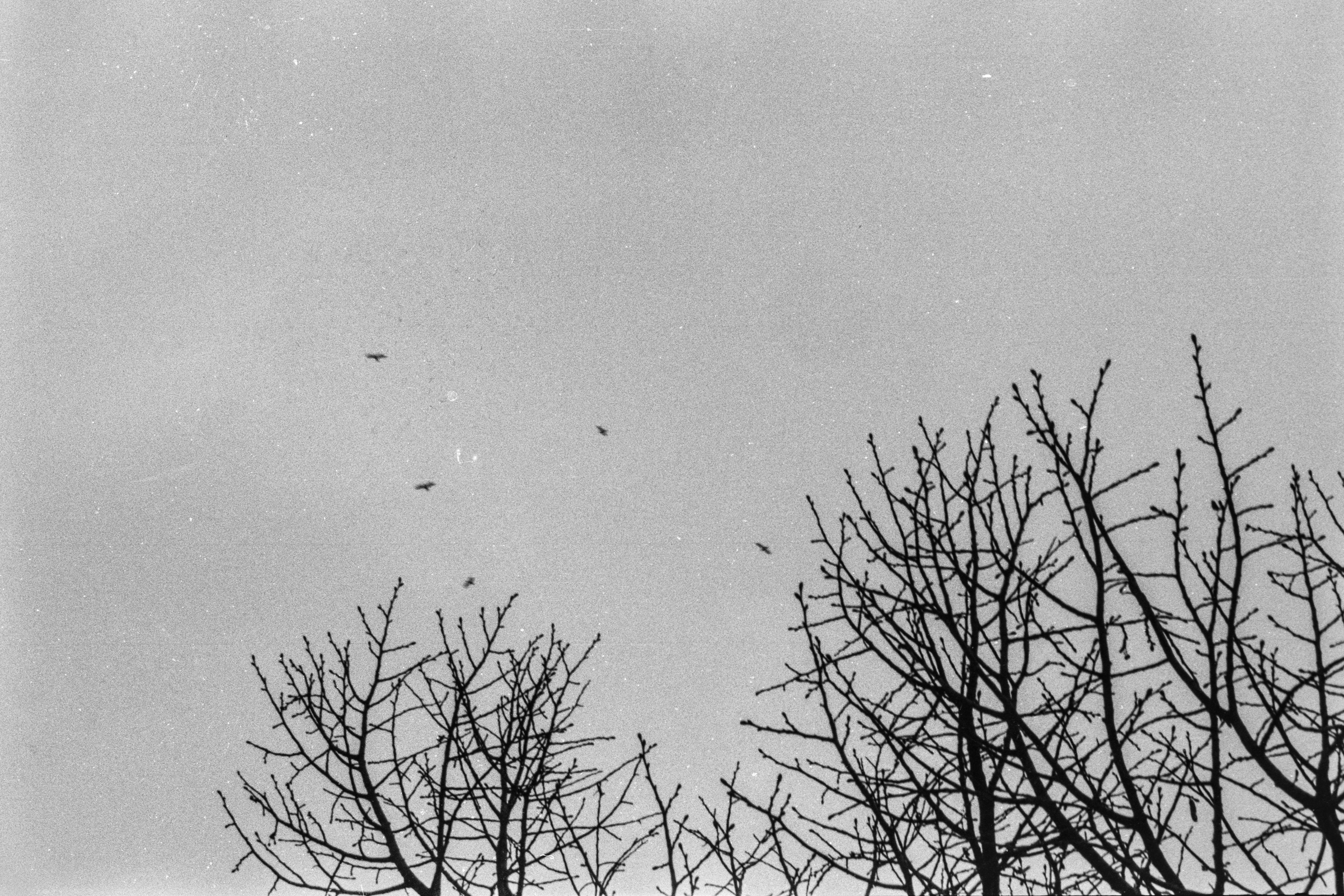 Paris, Ile-de-France, France, 2025