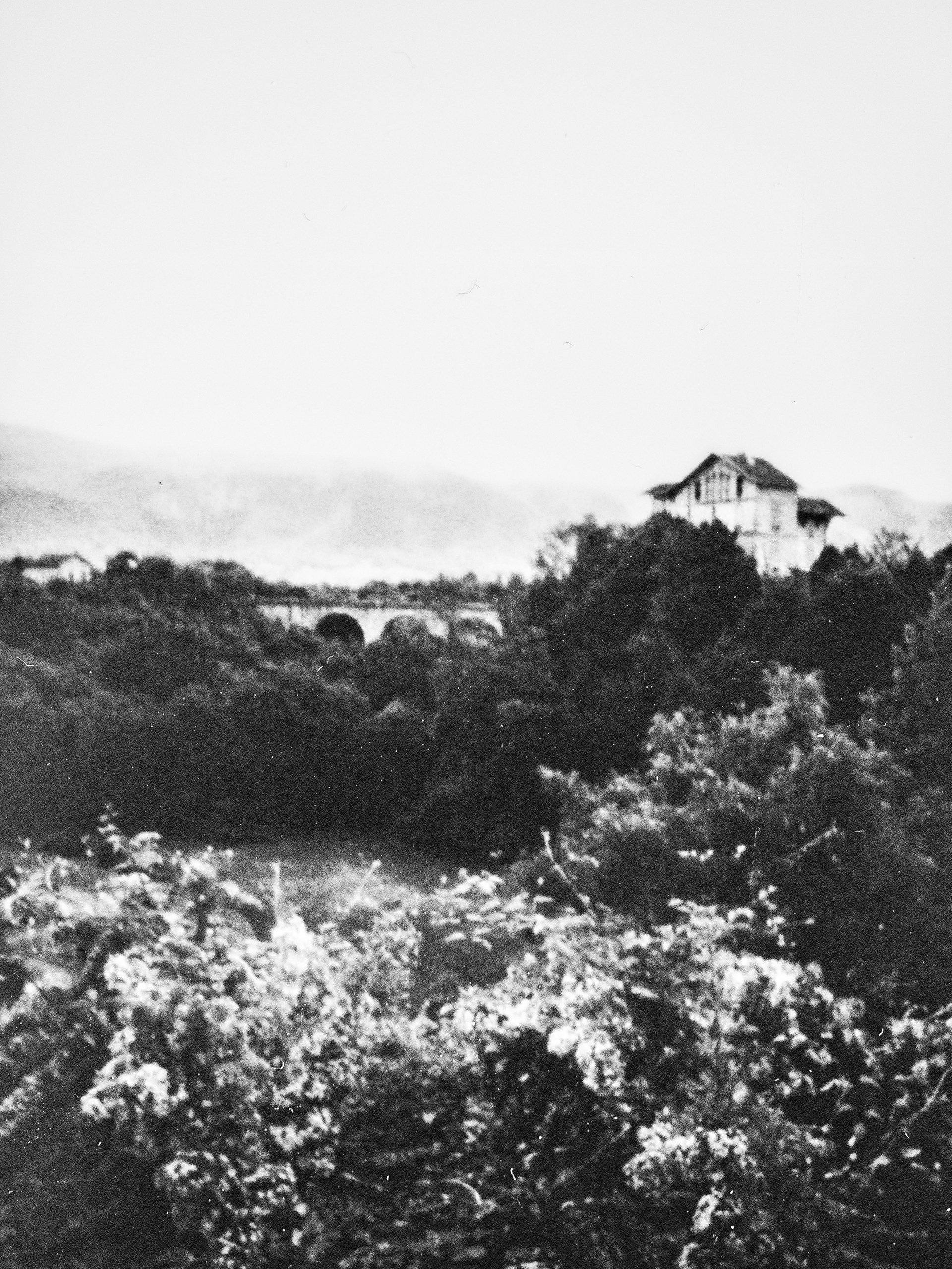 38160, Saint-Marcellin, Isère, Auvergne-Rhône-Alpes, France, 2026 (Polaroid)
