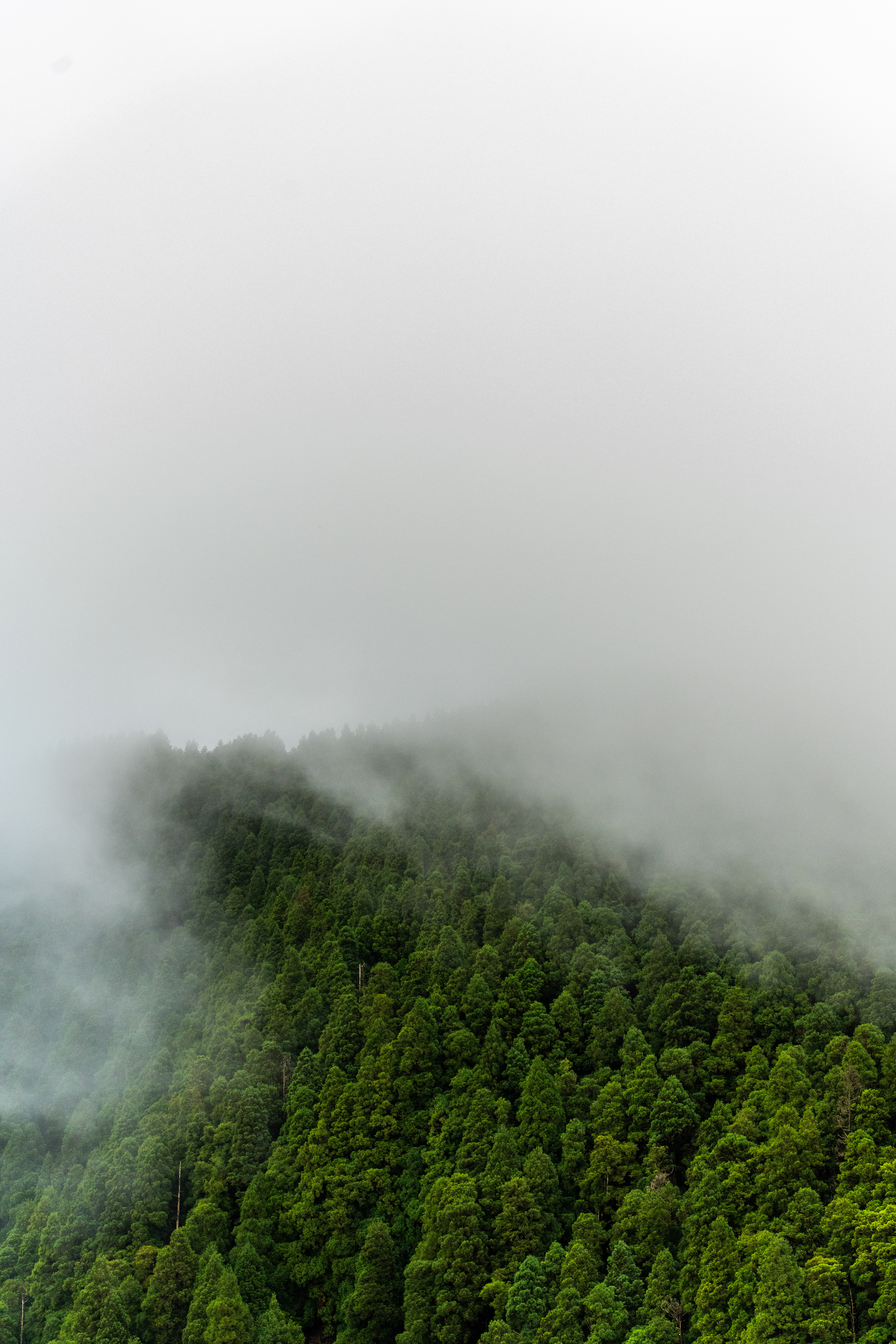 São Miguel, Azores, Portugal, 2025