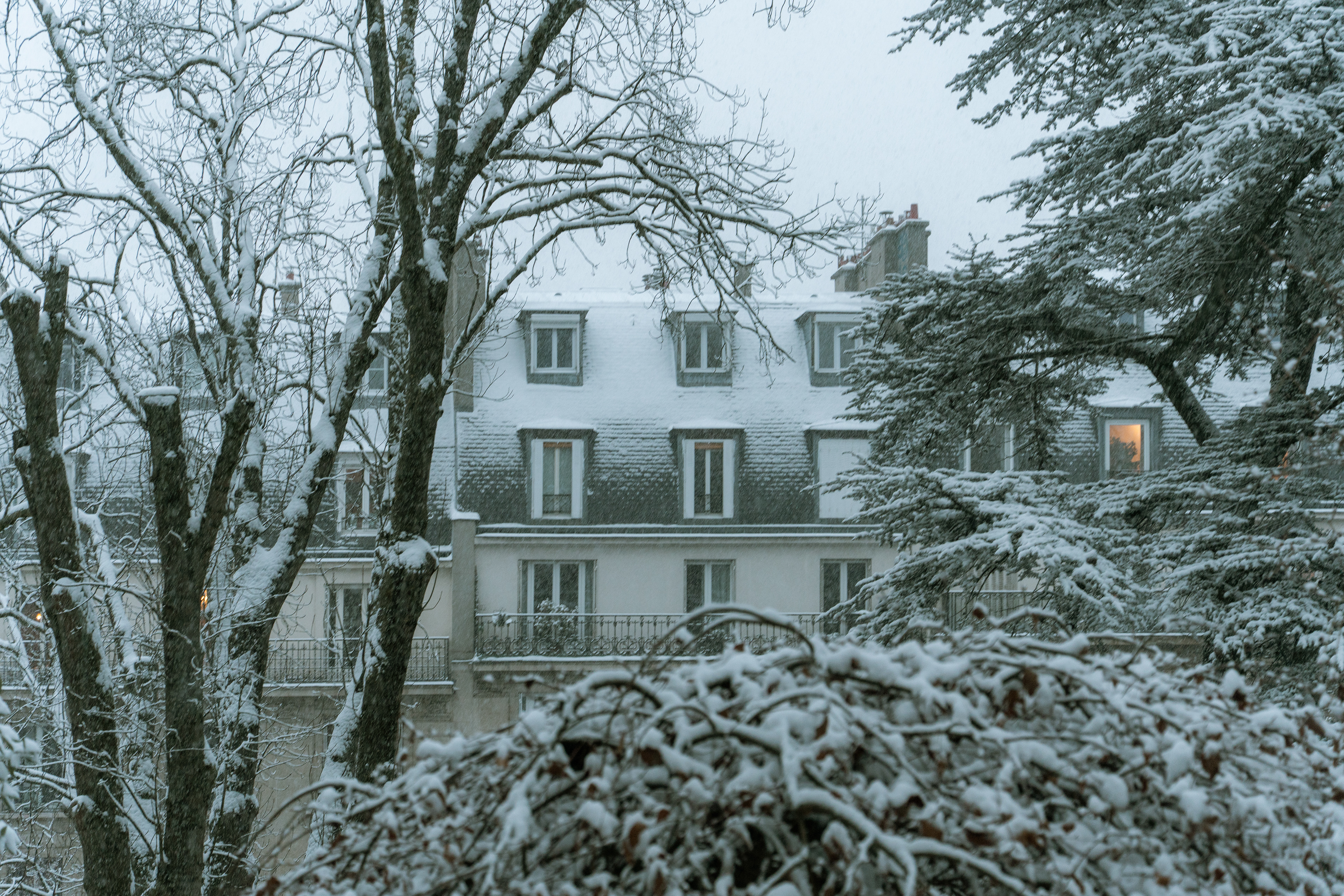 Jardin Samuel de Champlain, Paris, Ile-de-France, France, 2026