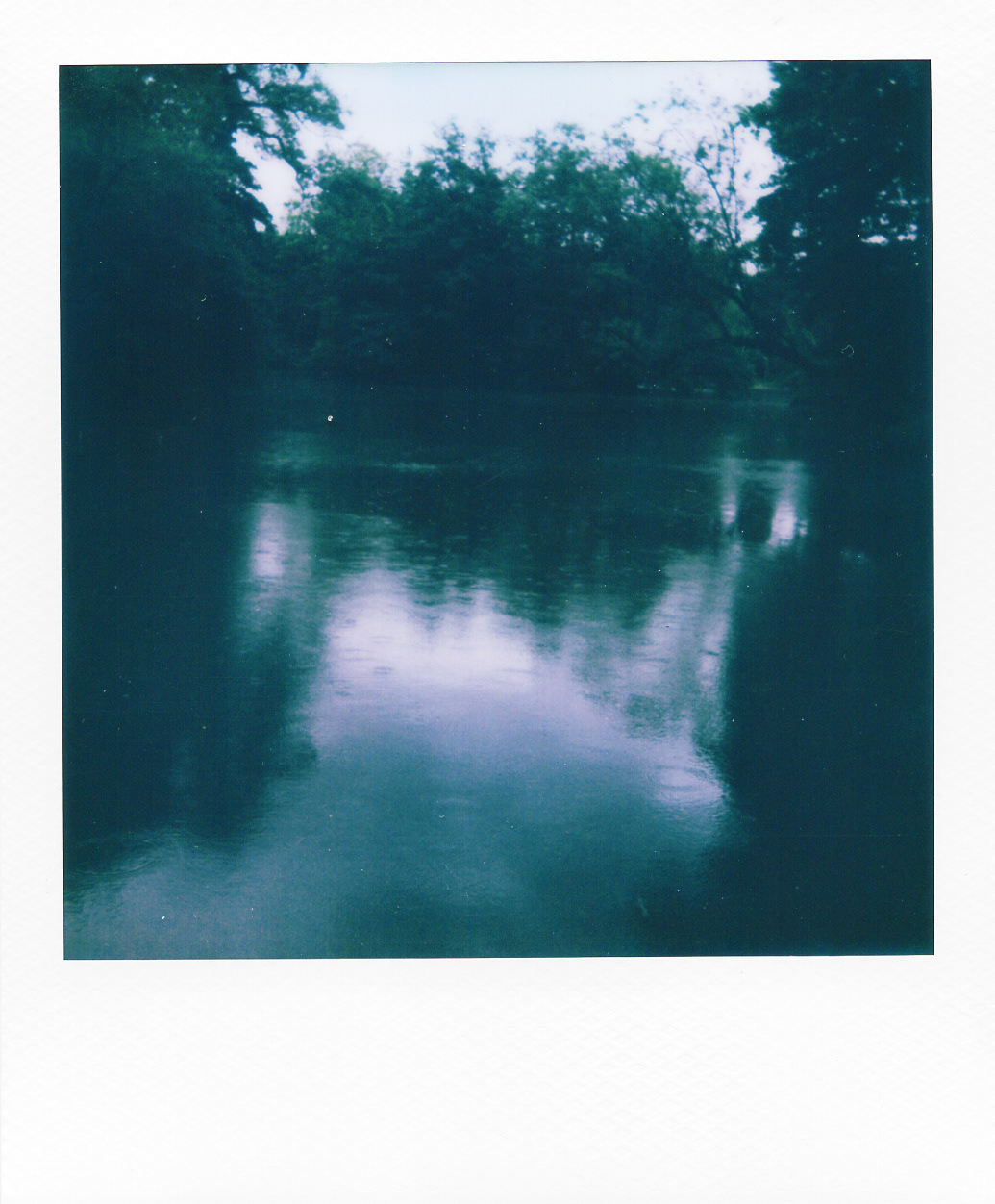 Série "Persistance", Parc Edmond-de-Rothschild, 2026 (Polaroid)