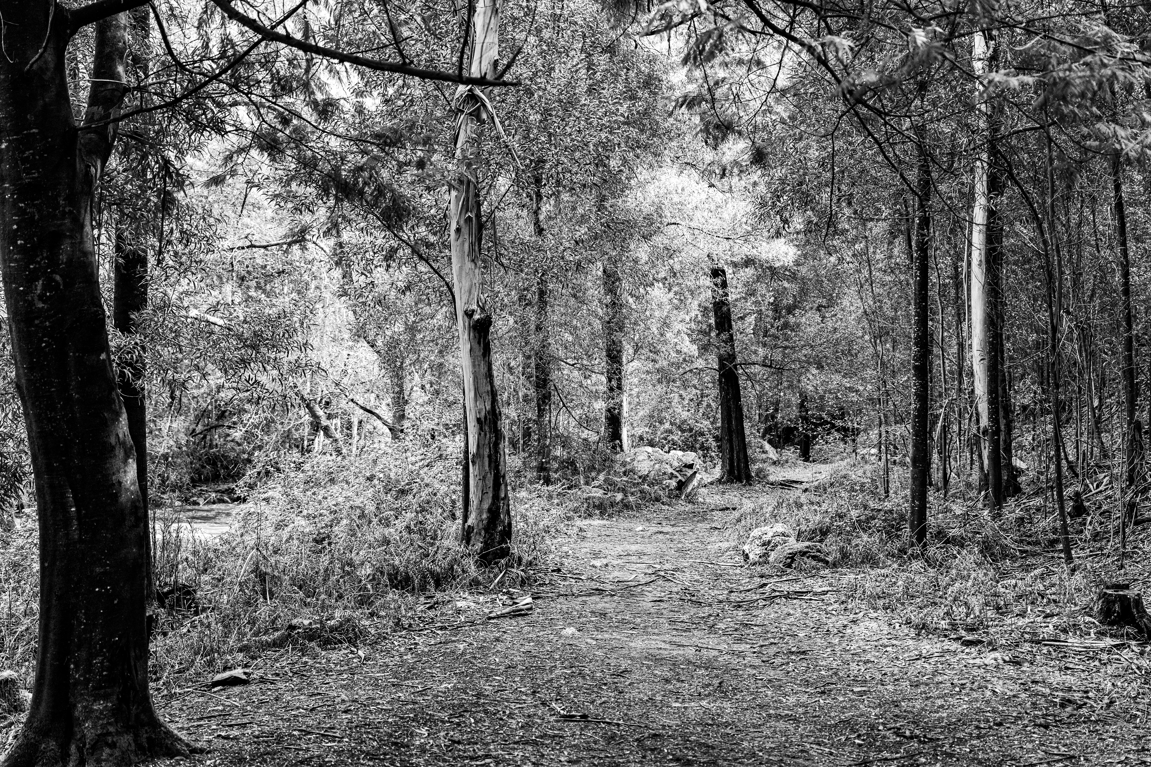 Valongo, Nord, Portugal, 2025