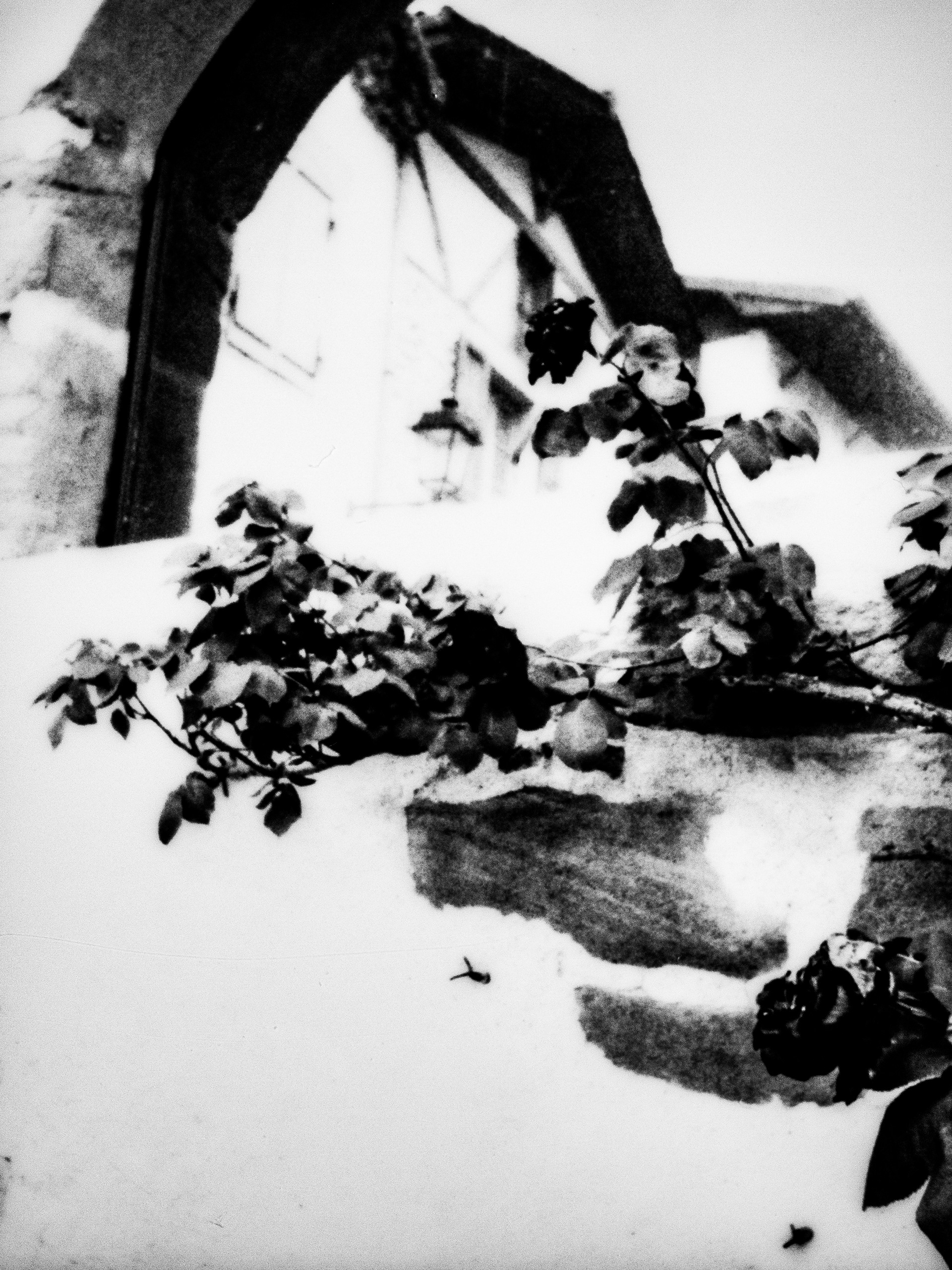 38160, Saint Antoine l'Abbaye, Isère, Auvergne-Rhône-Alpes, France, 2026 (Polaroid)