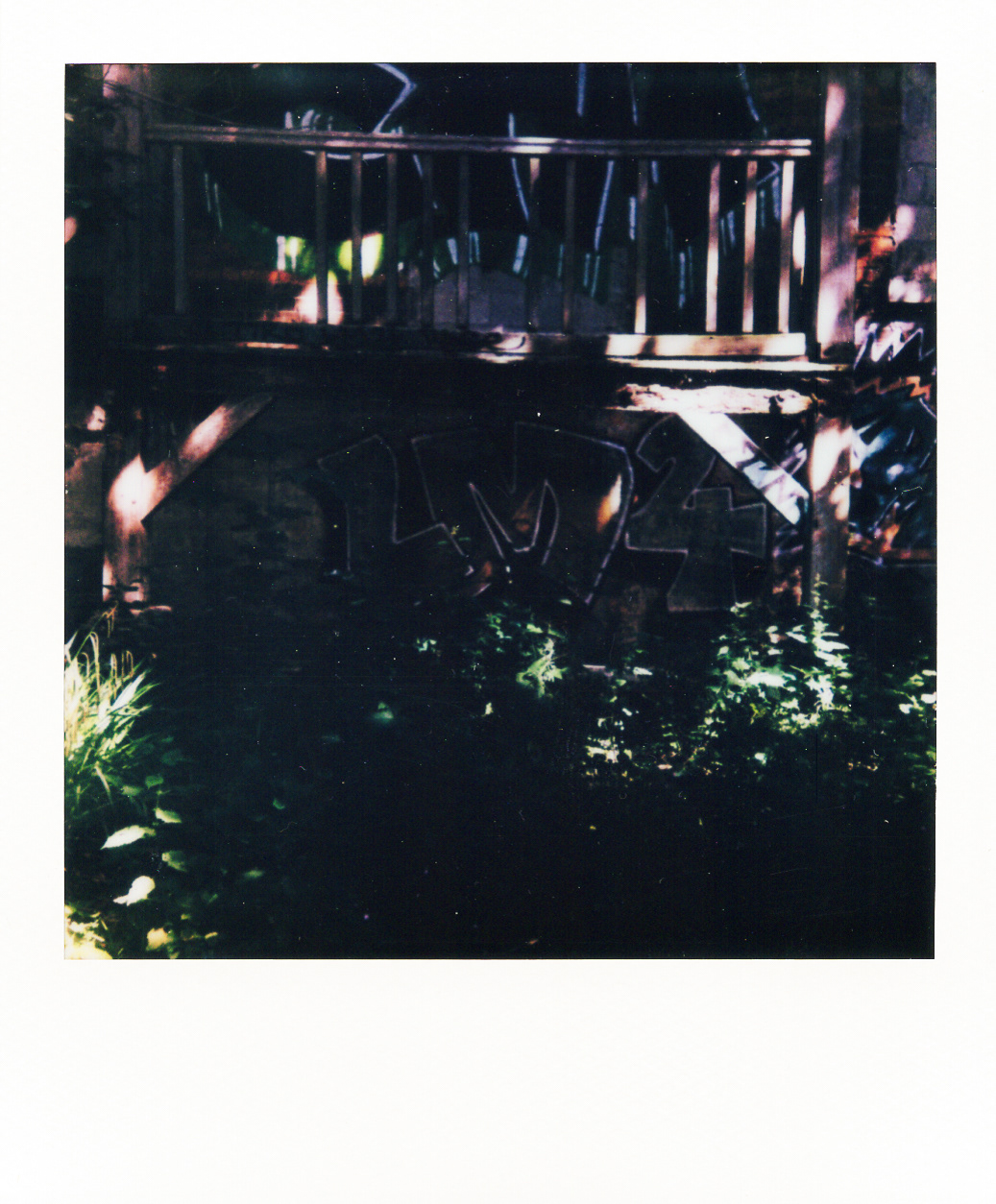Série "Persistance", Parc Edmond-de-Rothschild, 2026 (Polaroid)
