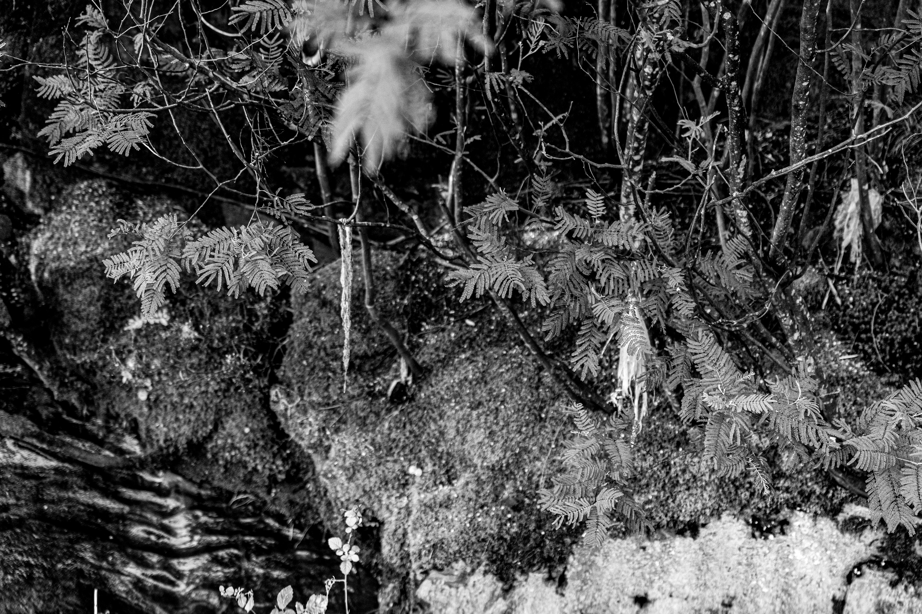 Valongo, Nord, Portugal, 2025