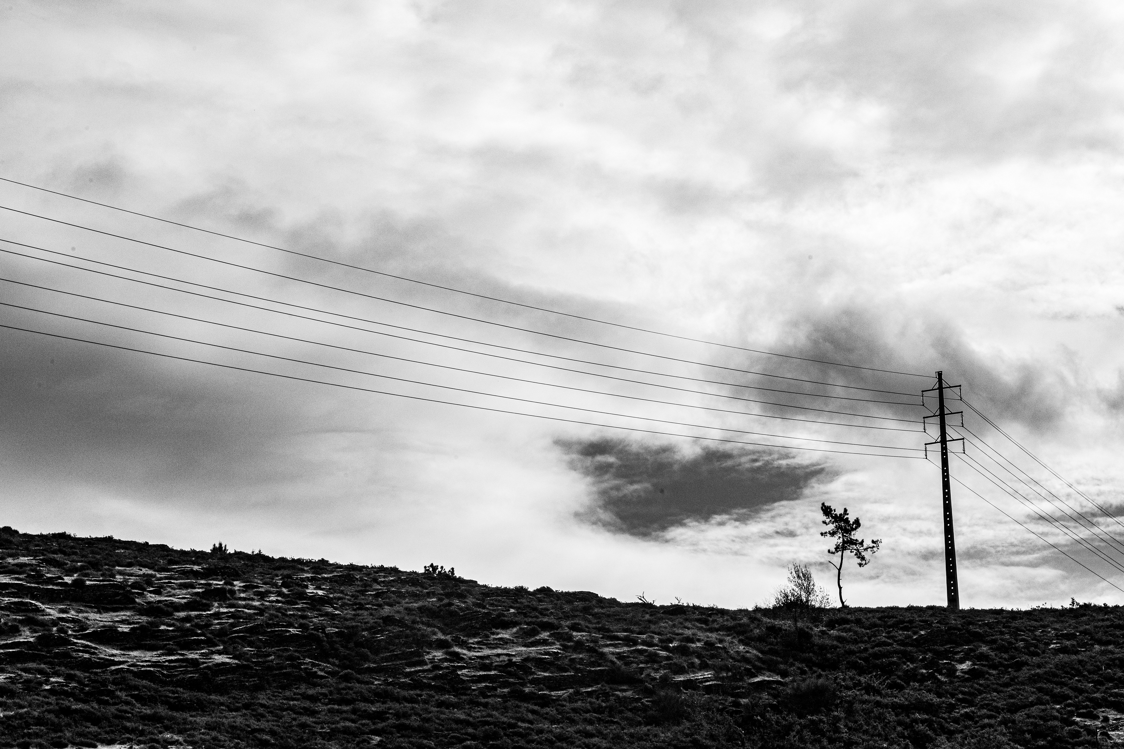 Valongo, Nord, Portugal, 2025