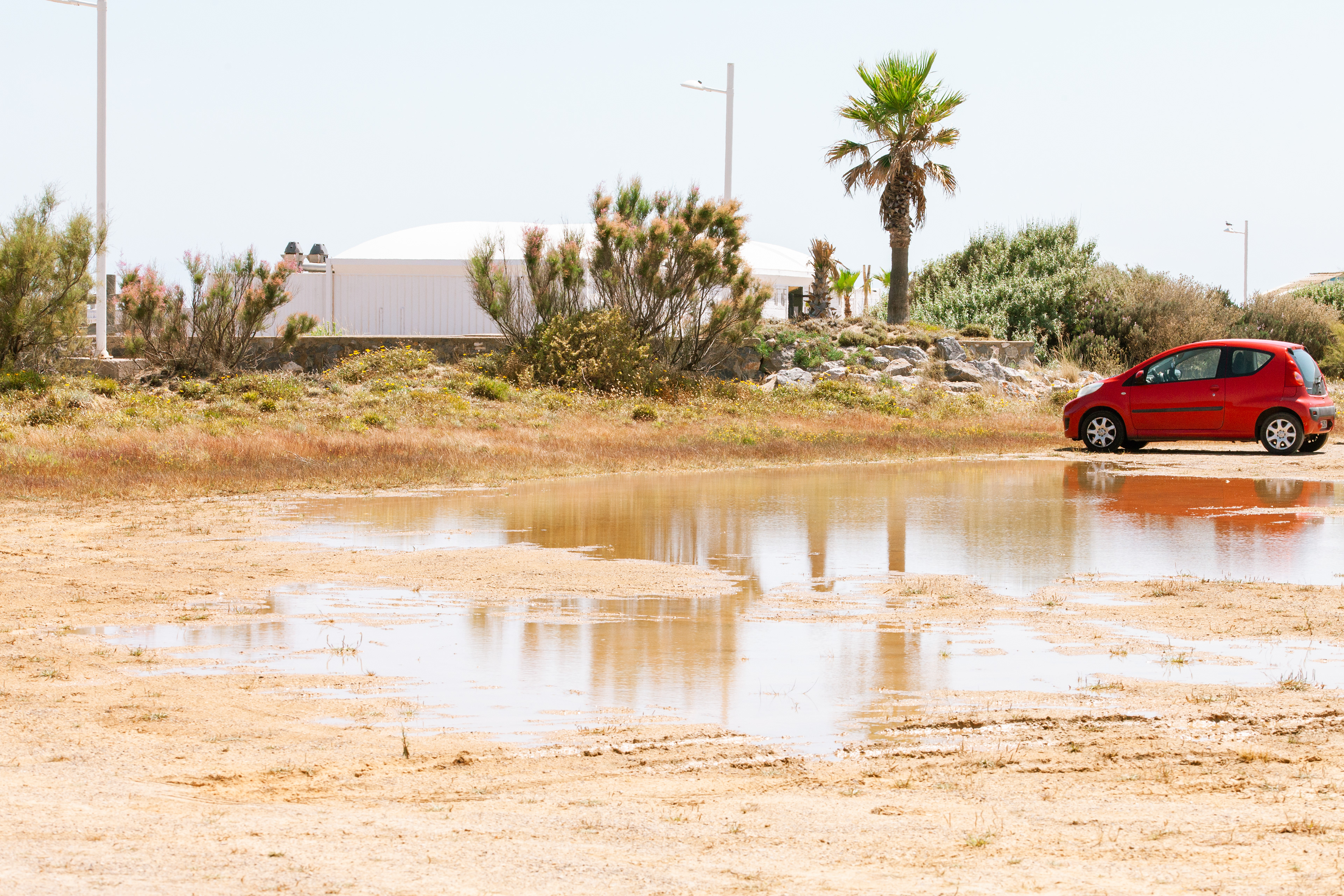 11100, Narbonne plage, Narbonne, Aude, Occitanie, France, 2024 (Numérique)