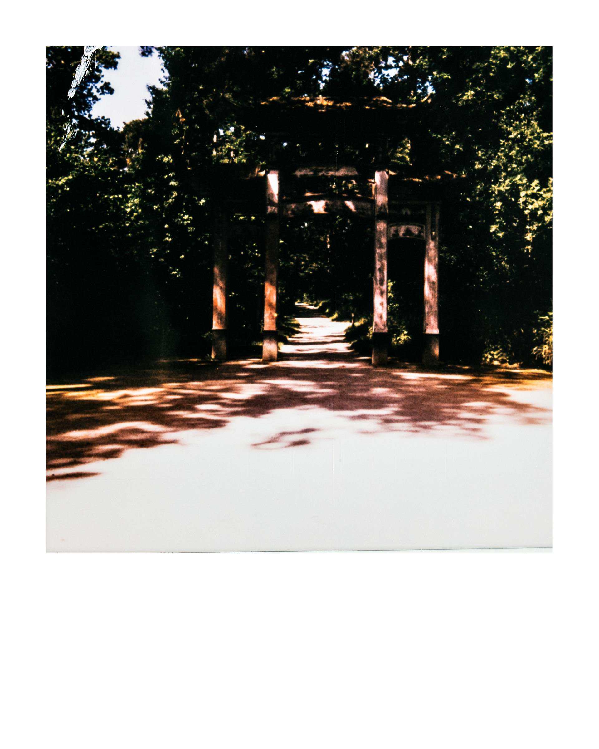Porte chinoise, Jardin d'agronomie tropicale René Dumont, Paris, Ile-de-France, France, 2026 (Polaroid)