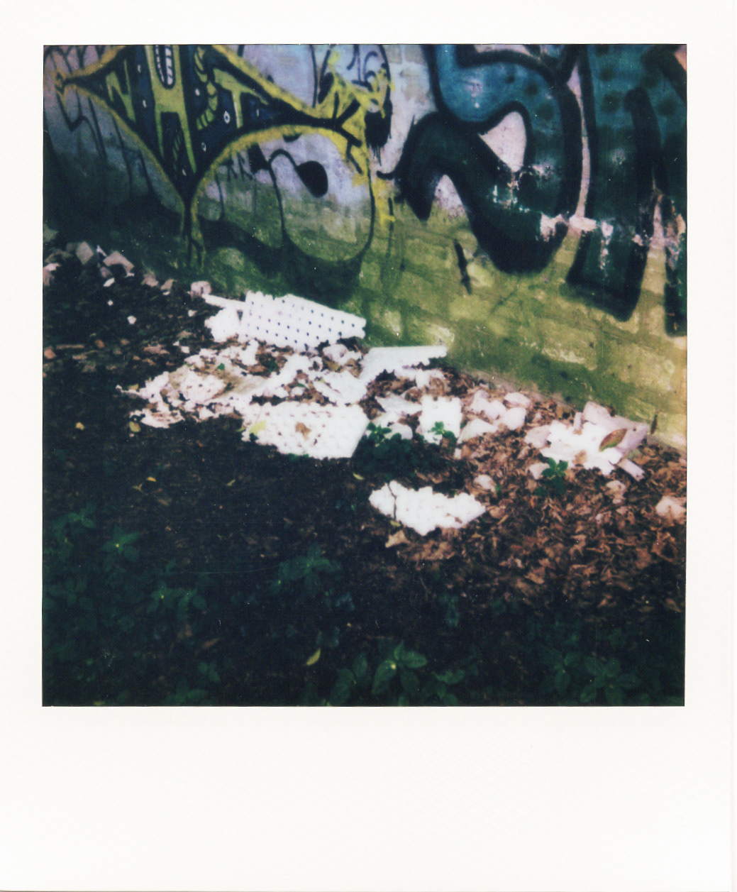Série "Persistance", Parc Edmond-de-Rothschild, 2026 (Polaroid)