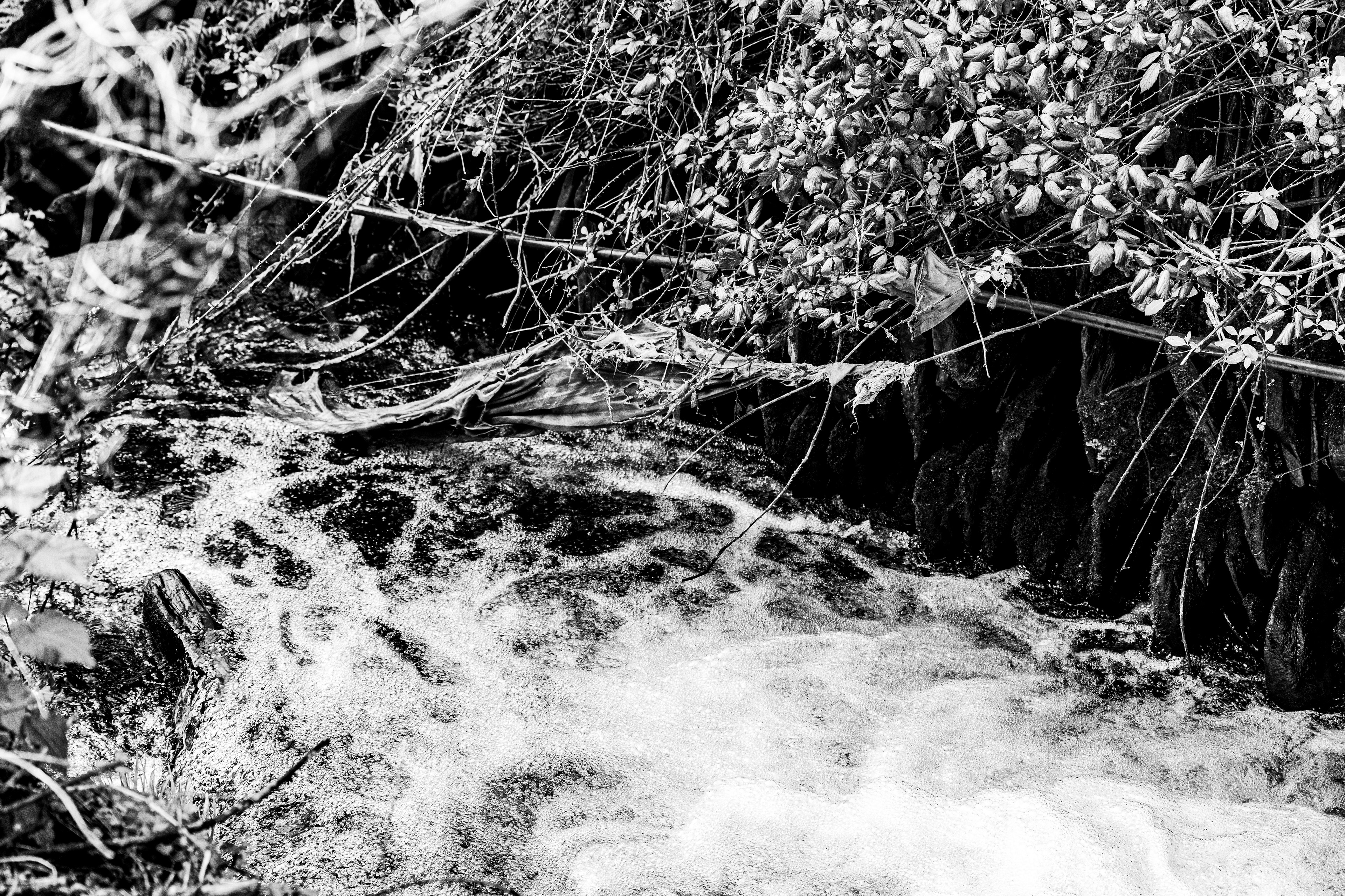 Valongo, Nord, Portugal, 2025