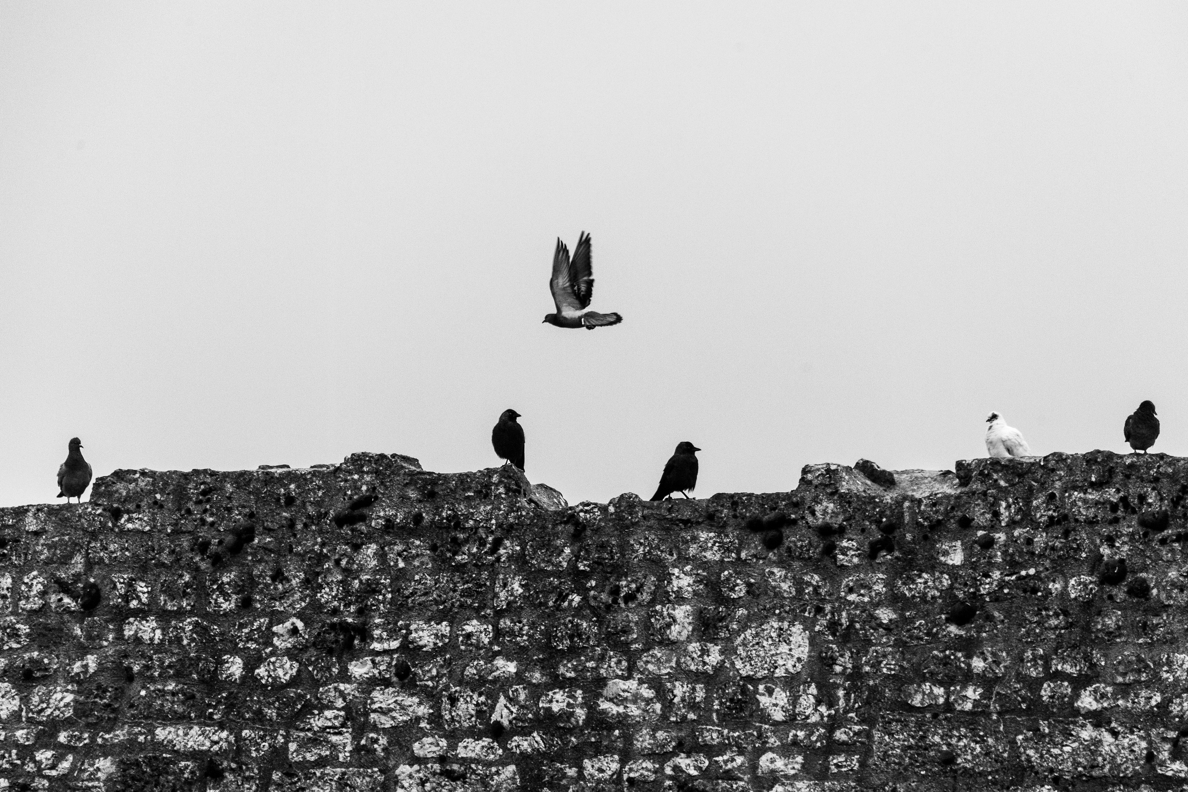 Provins, Seine-et-Marne, Ile-de-France, France, 2024