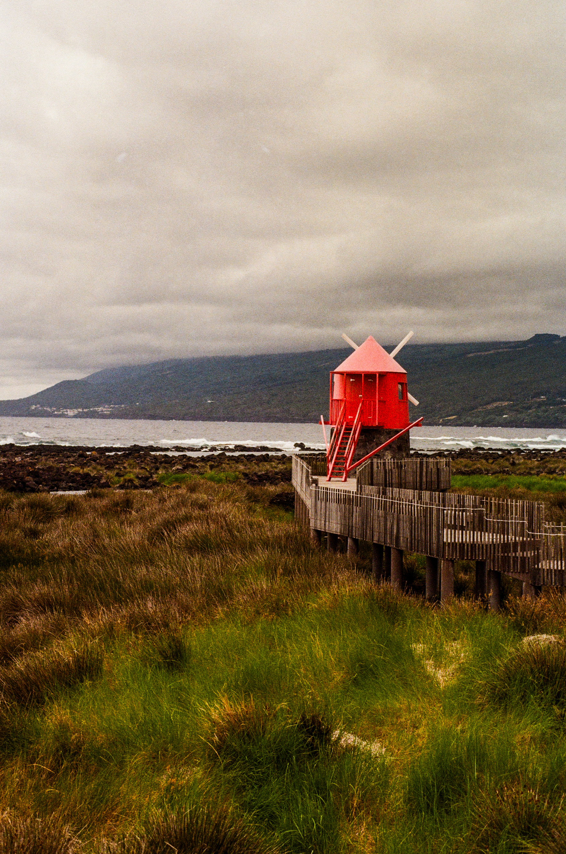 Lajes do Pico, 9960, Pico, Azores, Portugal, 2025 (Argentique)