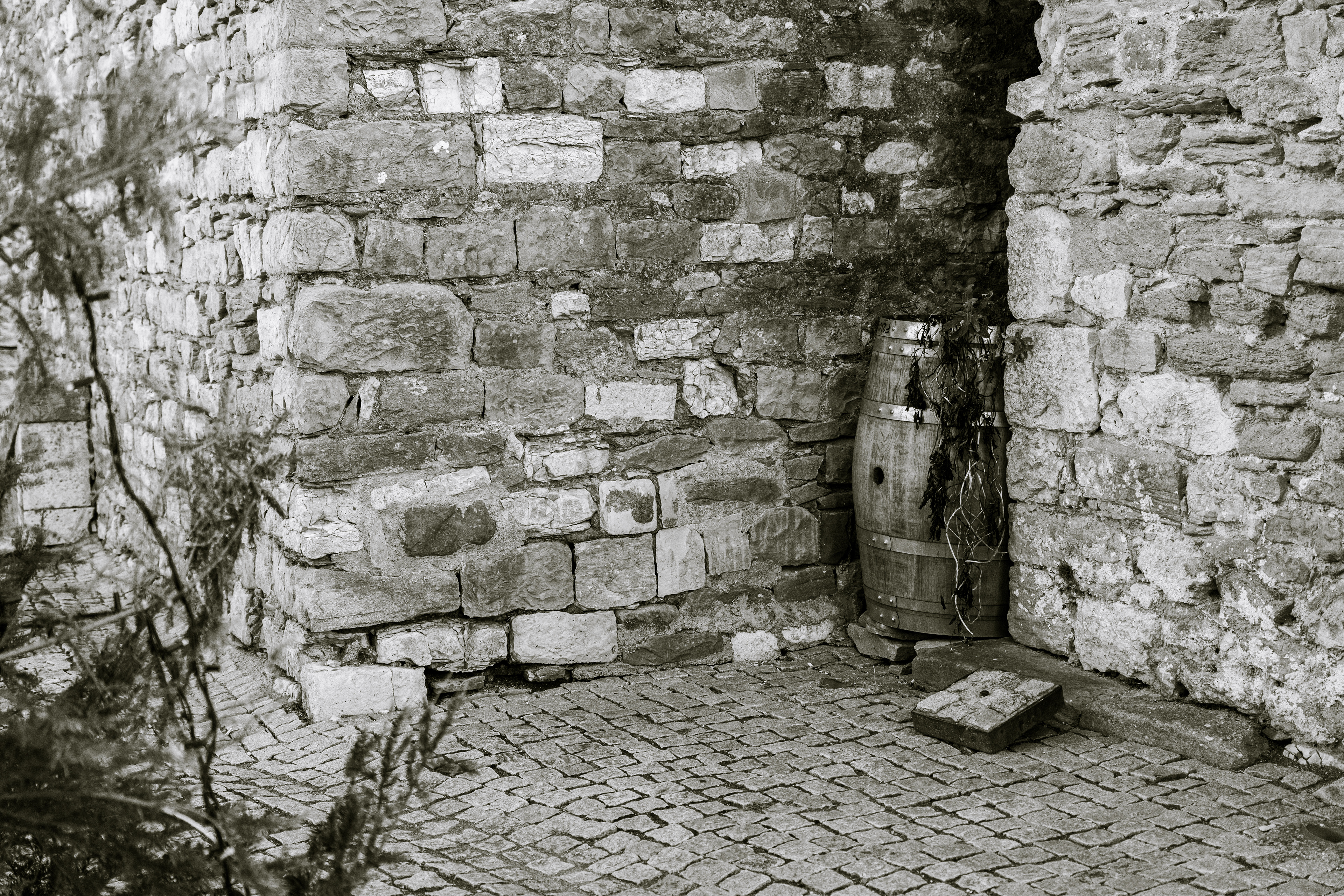 Minerve, Hérault, Occitanie, France, 2024