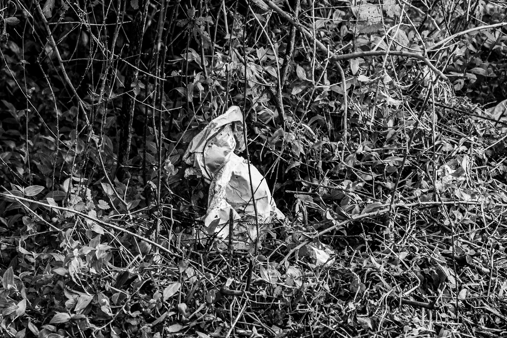 Valongo, Nord, Portugal, 2025