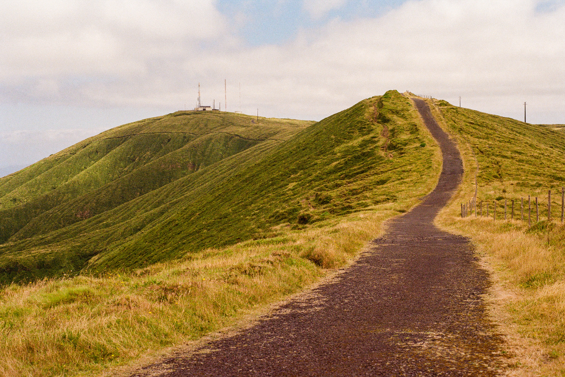 Faial, Azores, Portugal, 2025