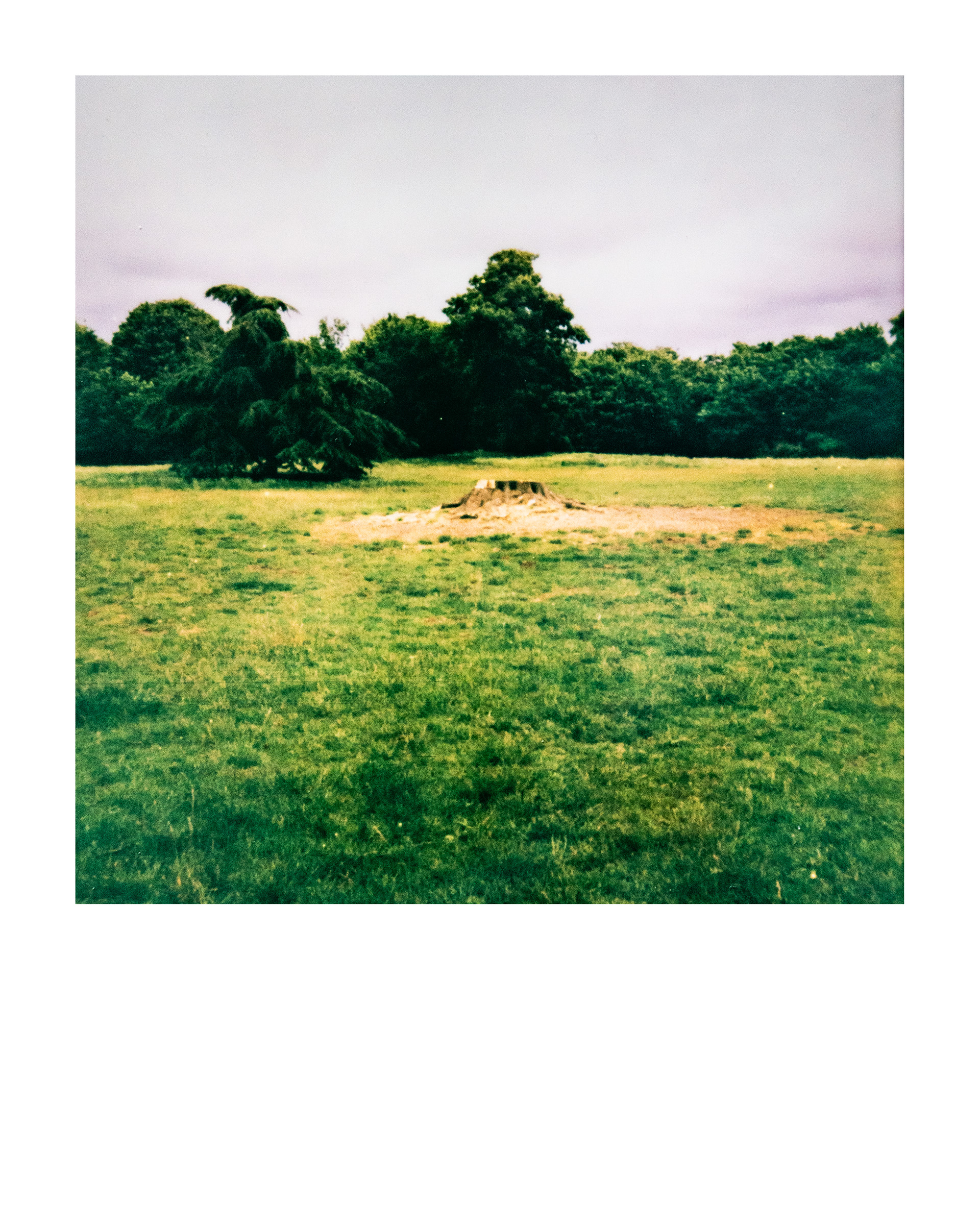 91200, Parc Edmond-de-Rothschild, Boulogne Billancourt, Hauts-de-Seine, France, 2026 (Polaroid)