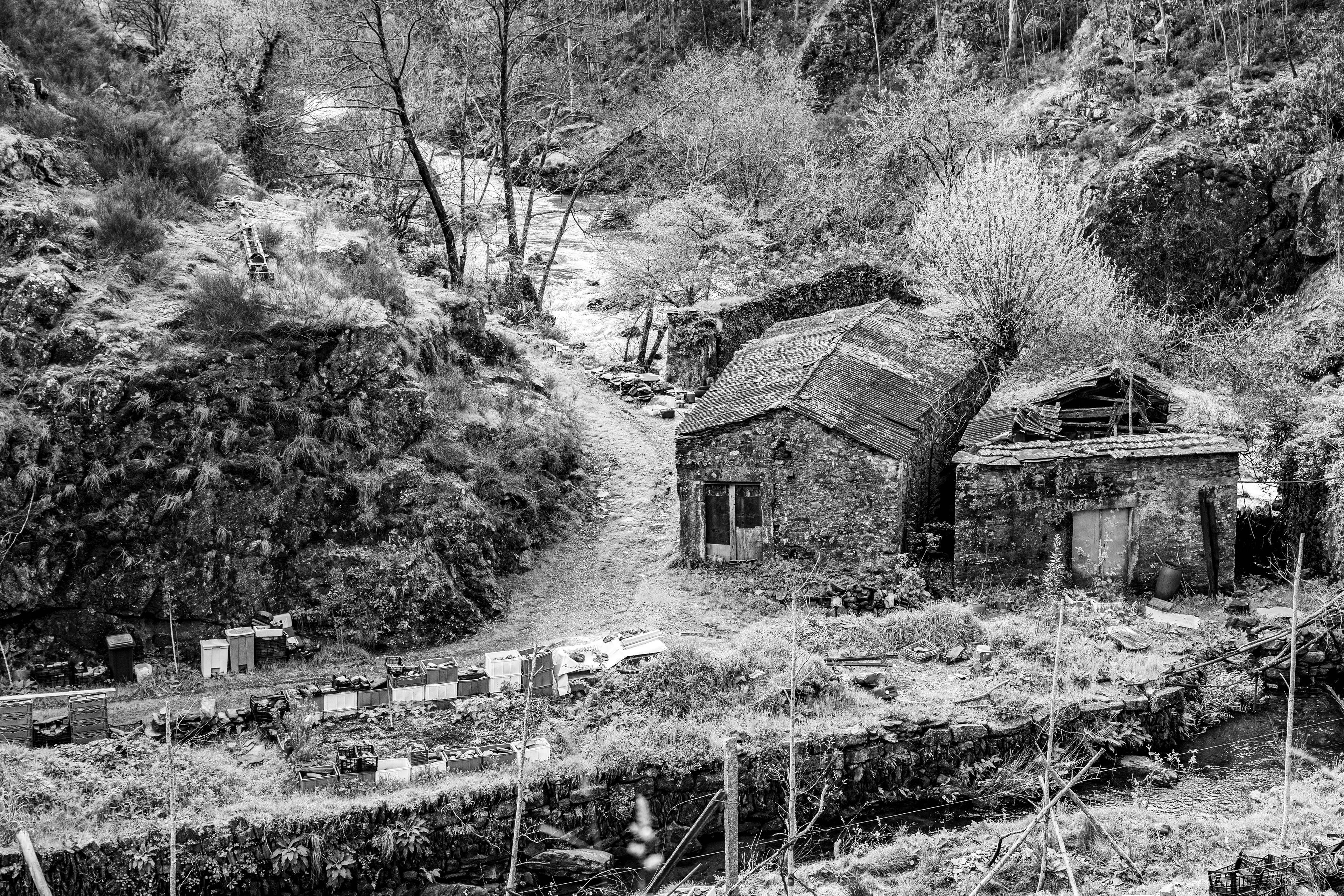 Valongo, Nord, Portugal, 2025