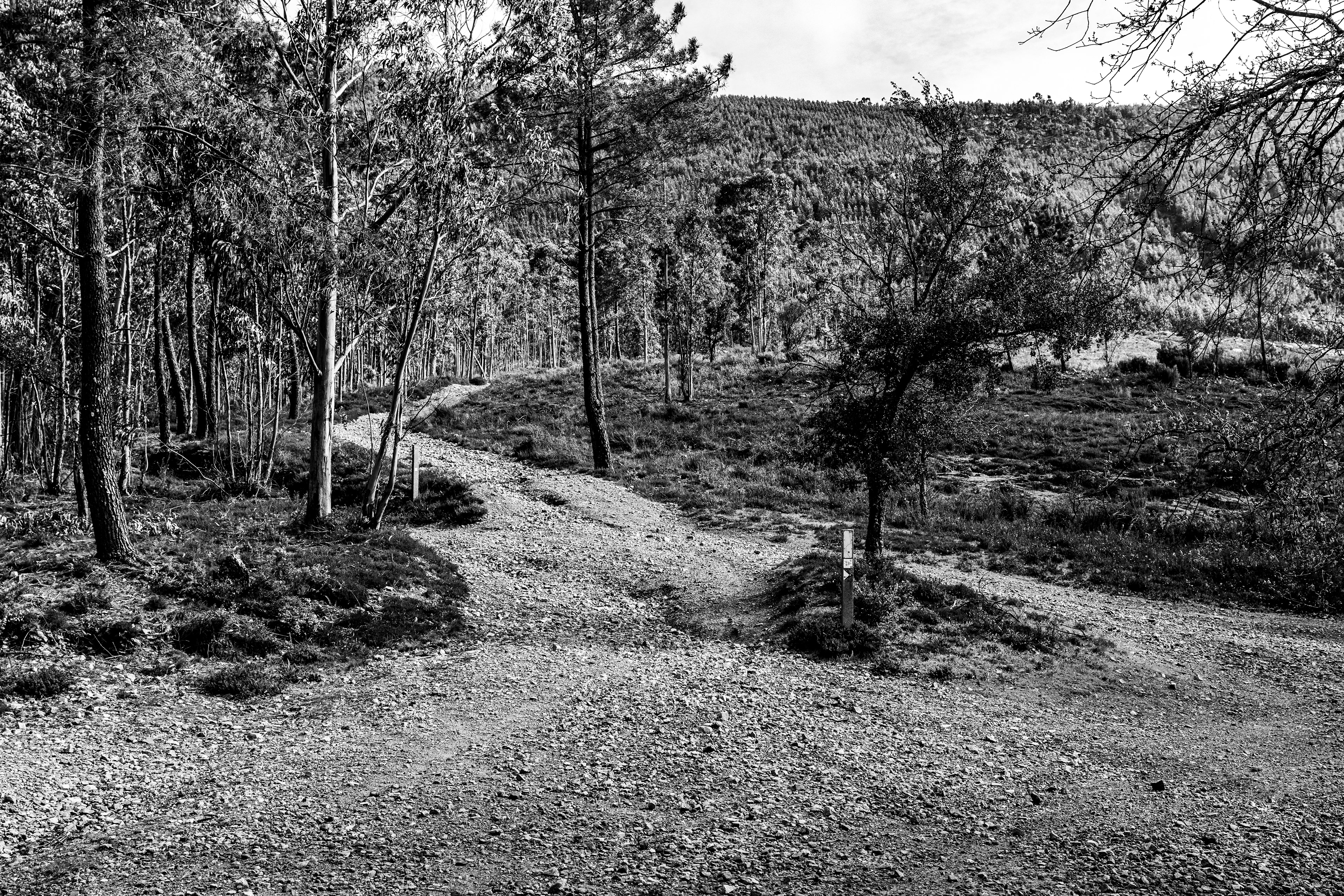 Valongo, Nord, Portugal, 2025