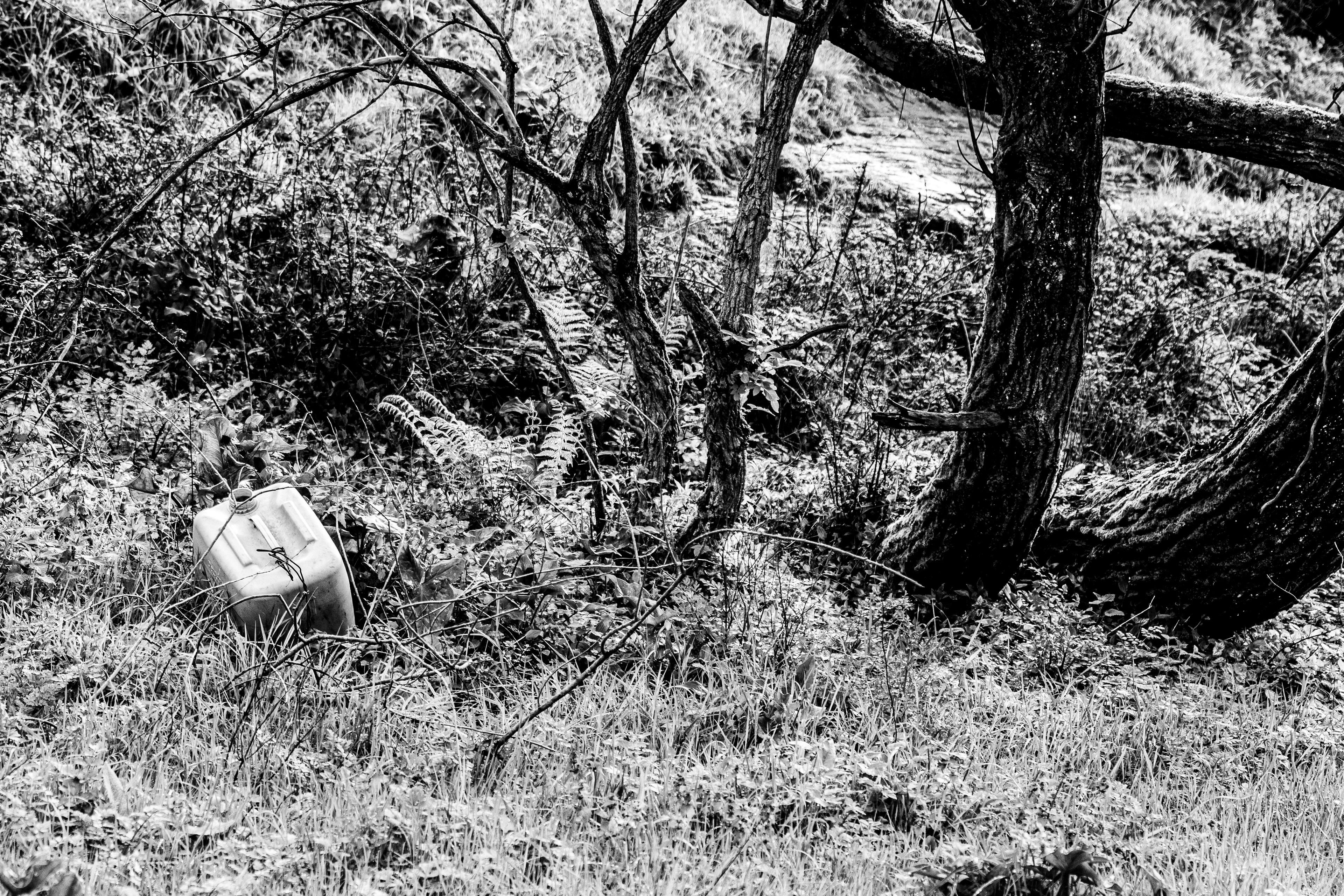 Valongo, Nord, Portugal, 2025