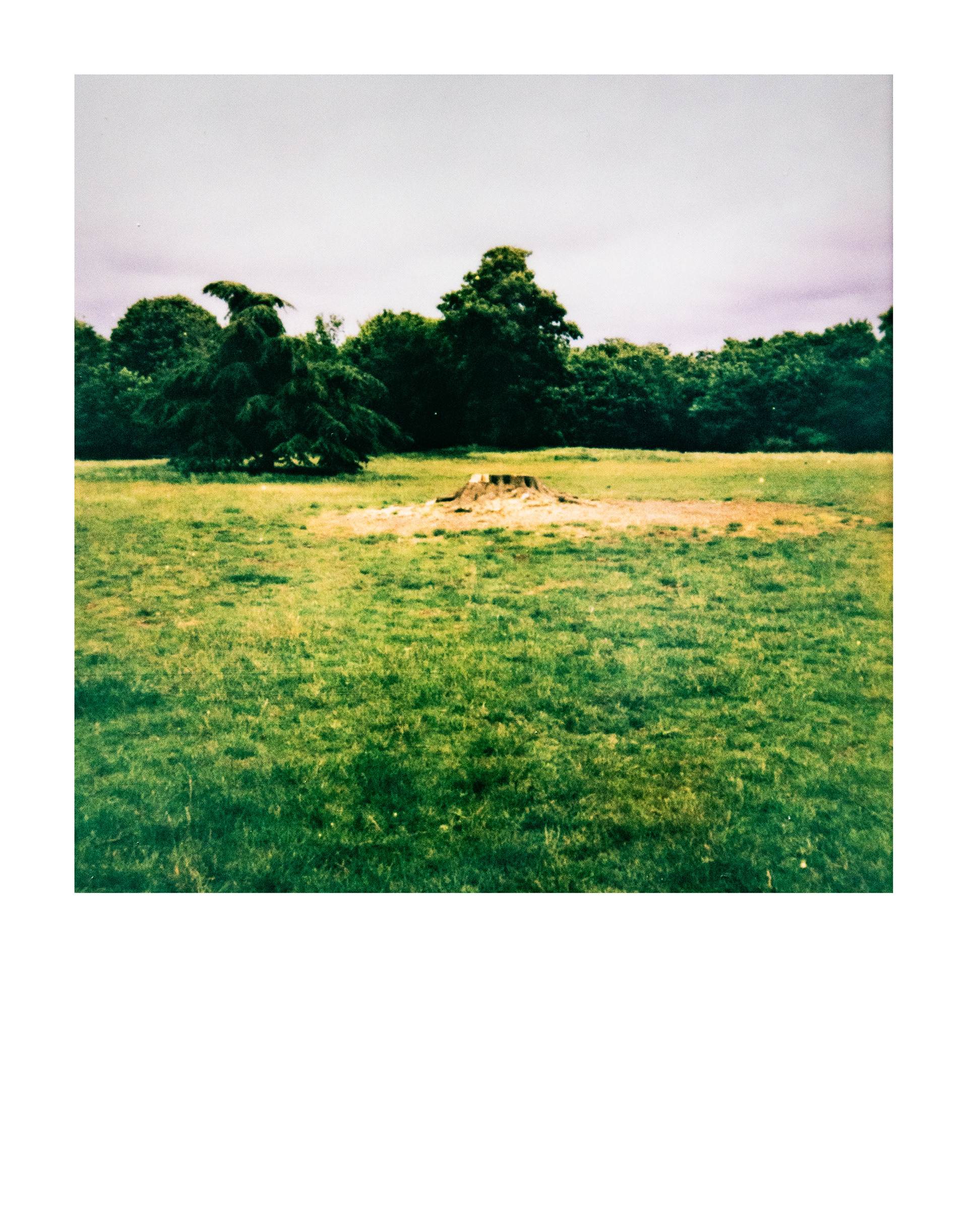Série "Parcs", Parc Edmond-de-Rothschild, 2026 (Polaroid)