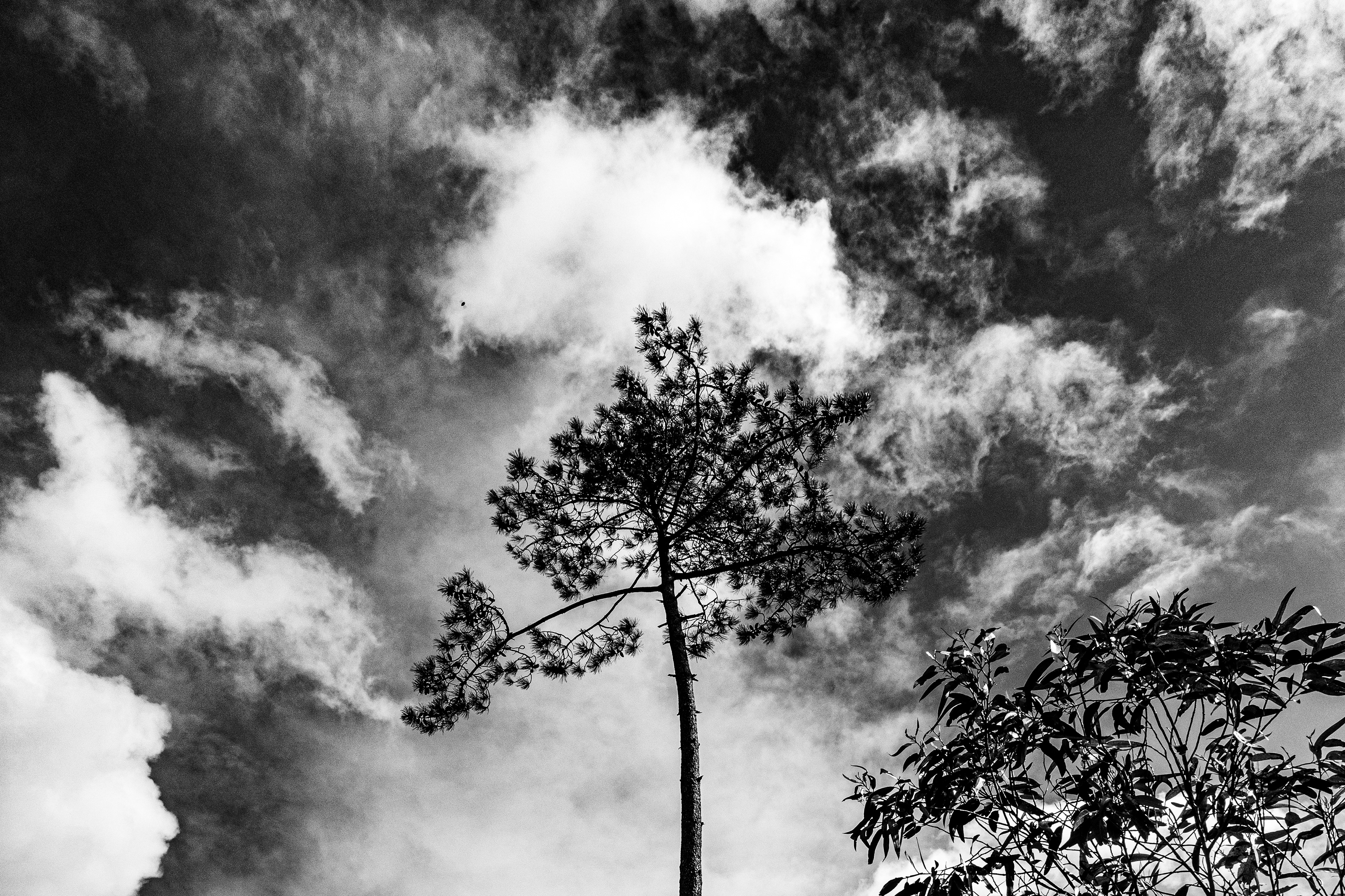 Valongo, Nord, Portugal, 2025