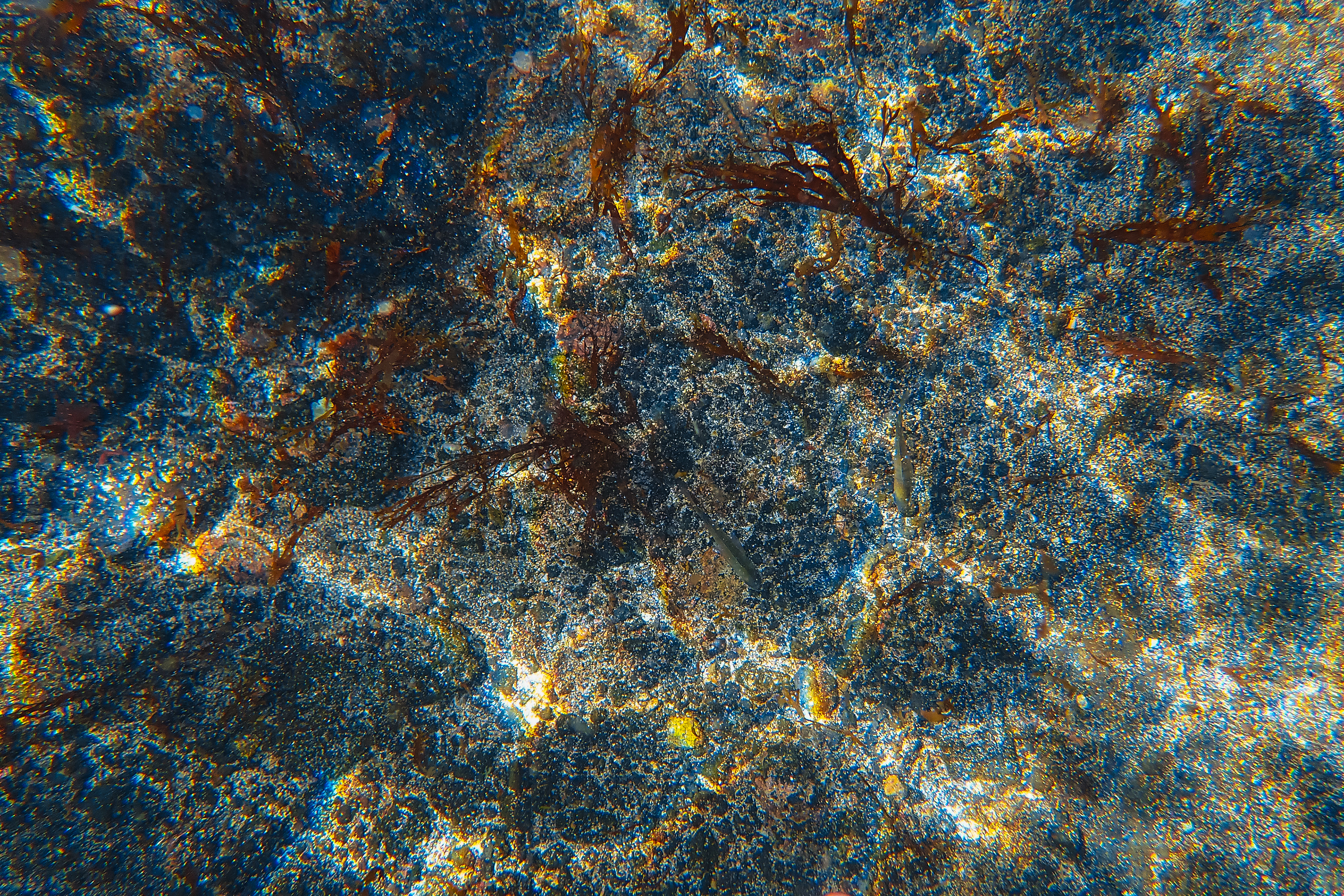 São Miguel, Azores, Portugal, 2025