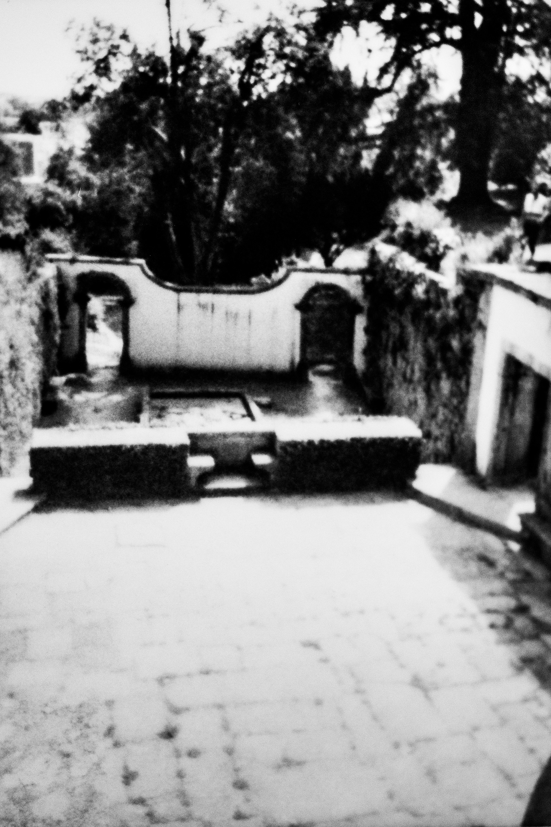 Parque das Vitruves, 4000, Porto, Nord, Portugal, 2026 (Polaroid)