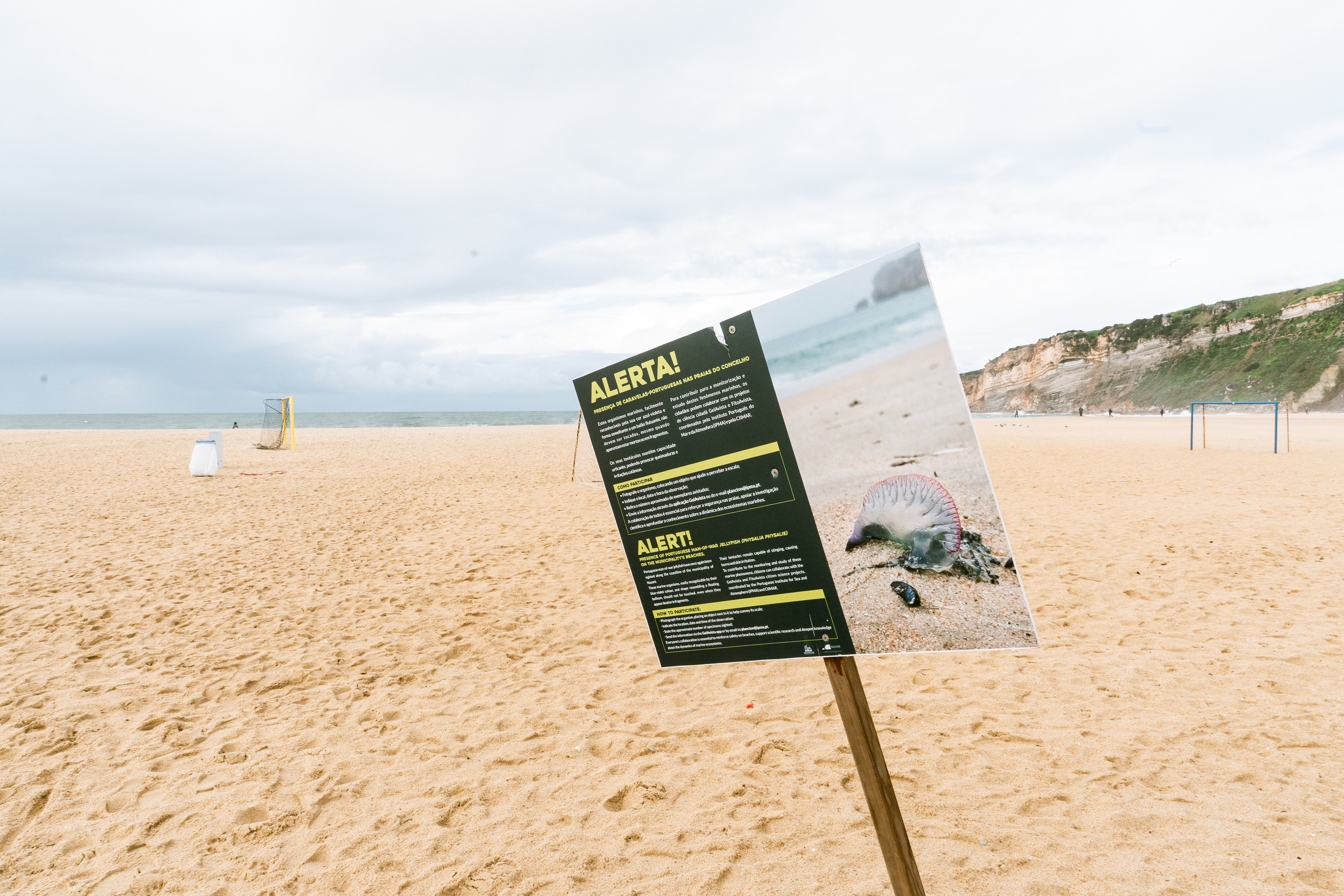 Nazaré, Ouest, Portugal, 2026