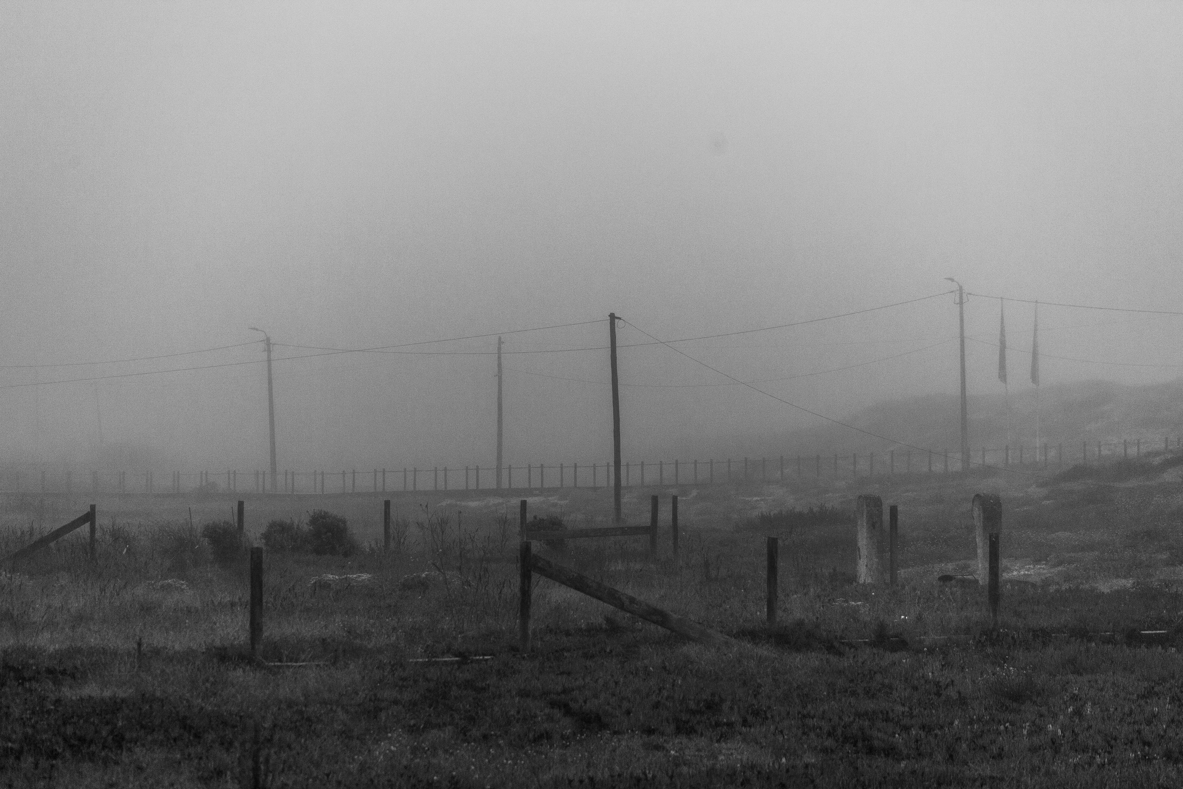 "Smooky", Villa Nova de Gaia, Nord, Portugal