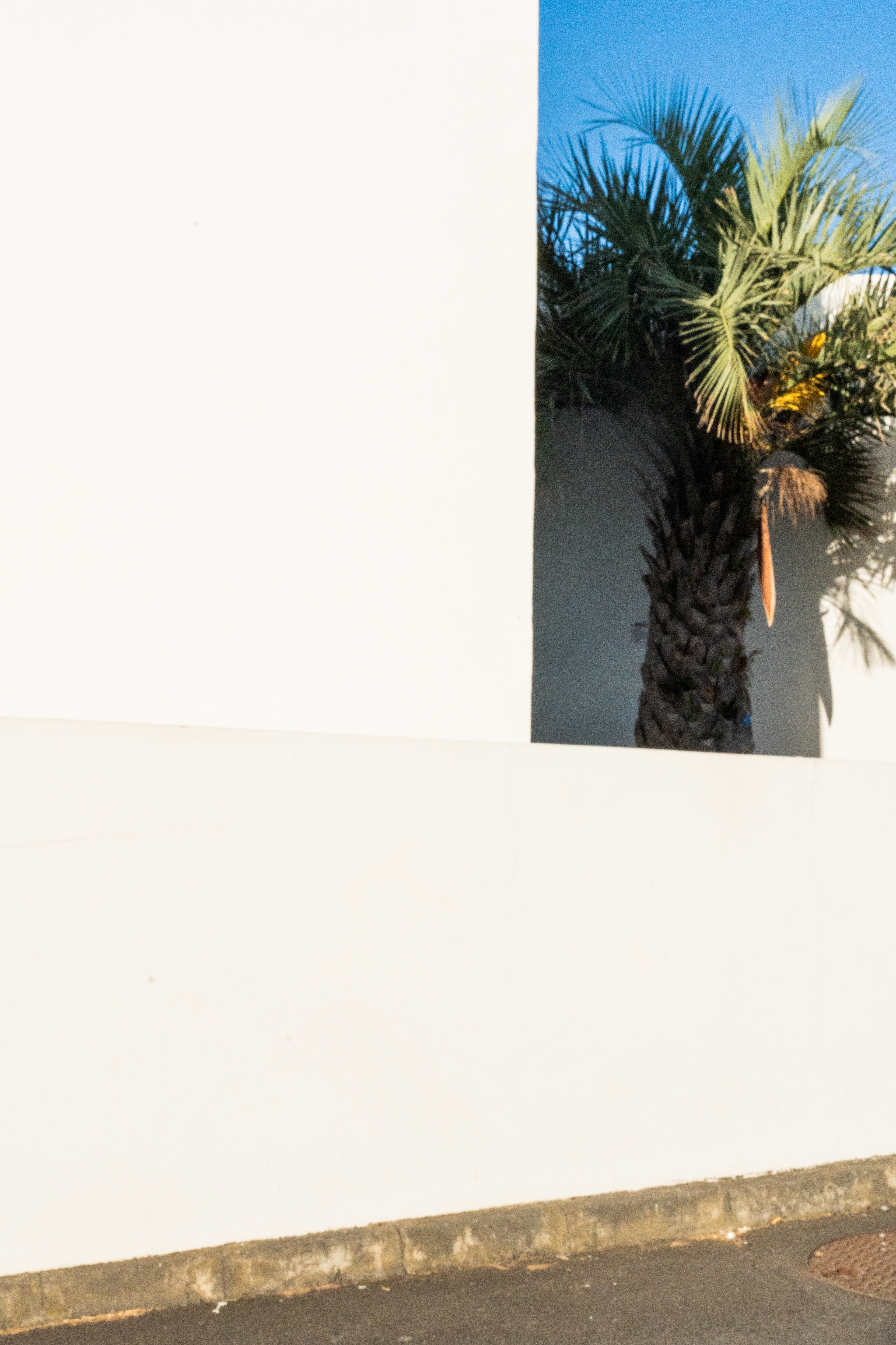 São Miguel, Azores, Portugal, 2025