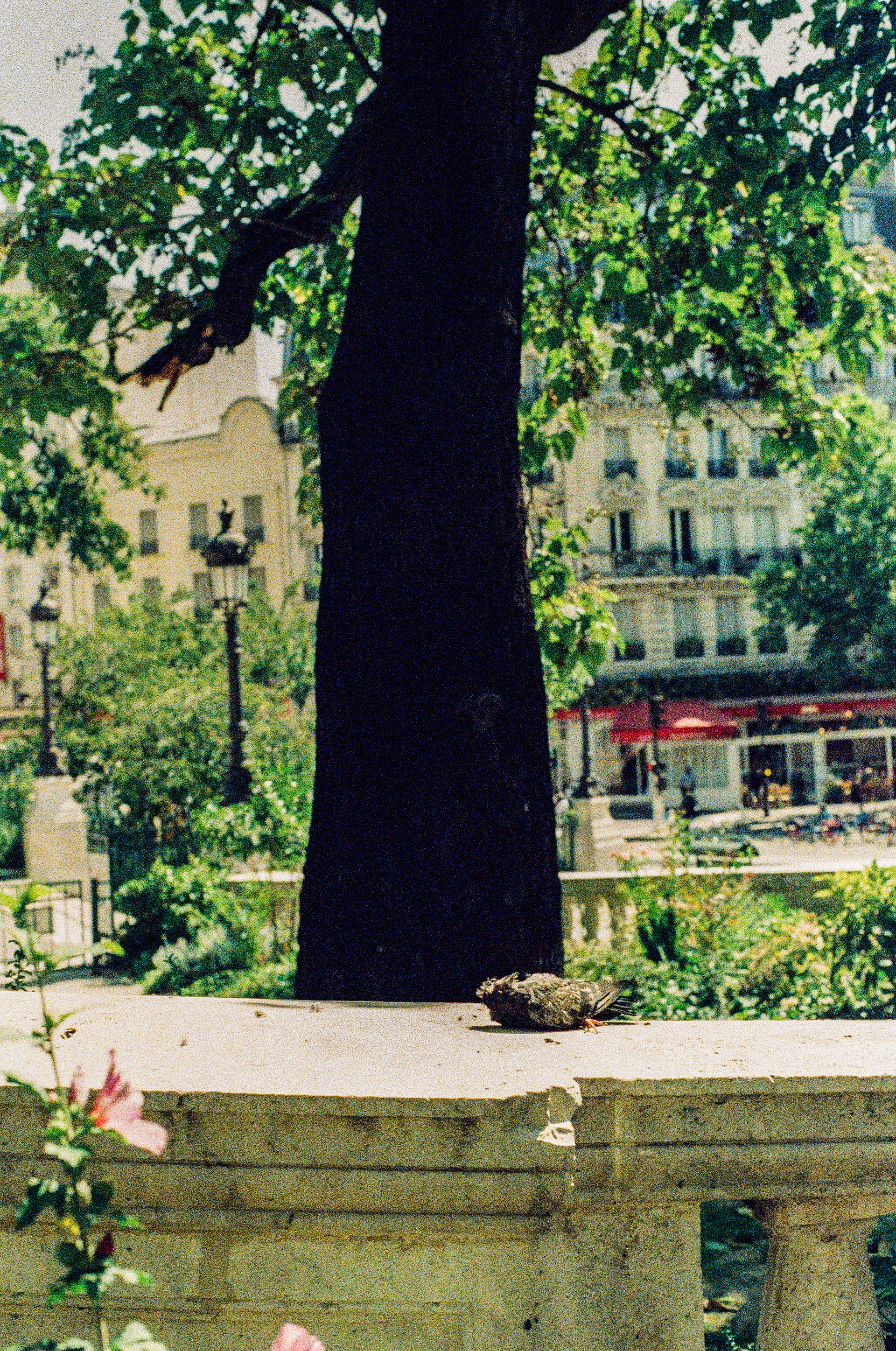 Église Saint-Vincent-de-Paul, Paris, Ile-de-France, France, 2025