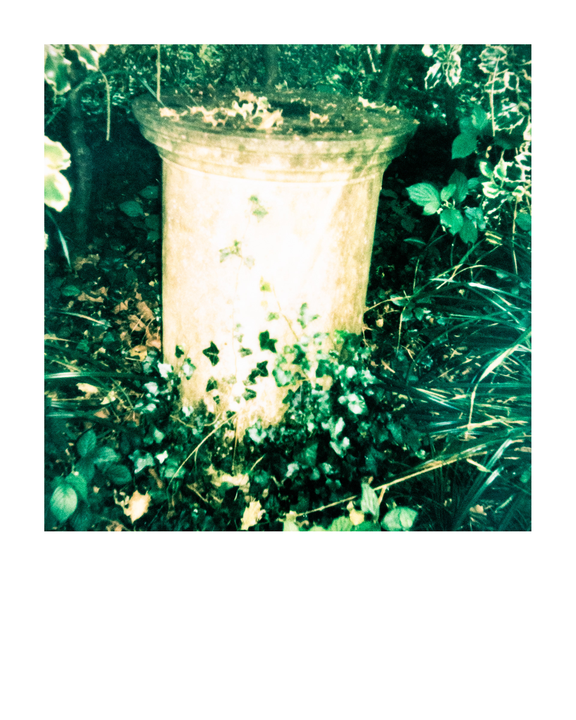 91200, Parc Edmond-de-Rothschild, Boulogne Billancourt, Hauts-de-Seine, France, 2026 (Polaroid)