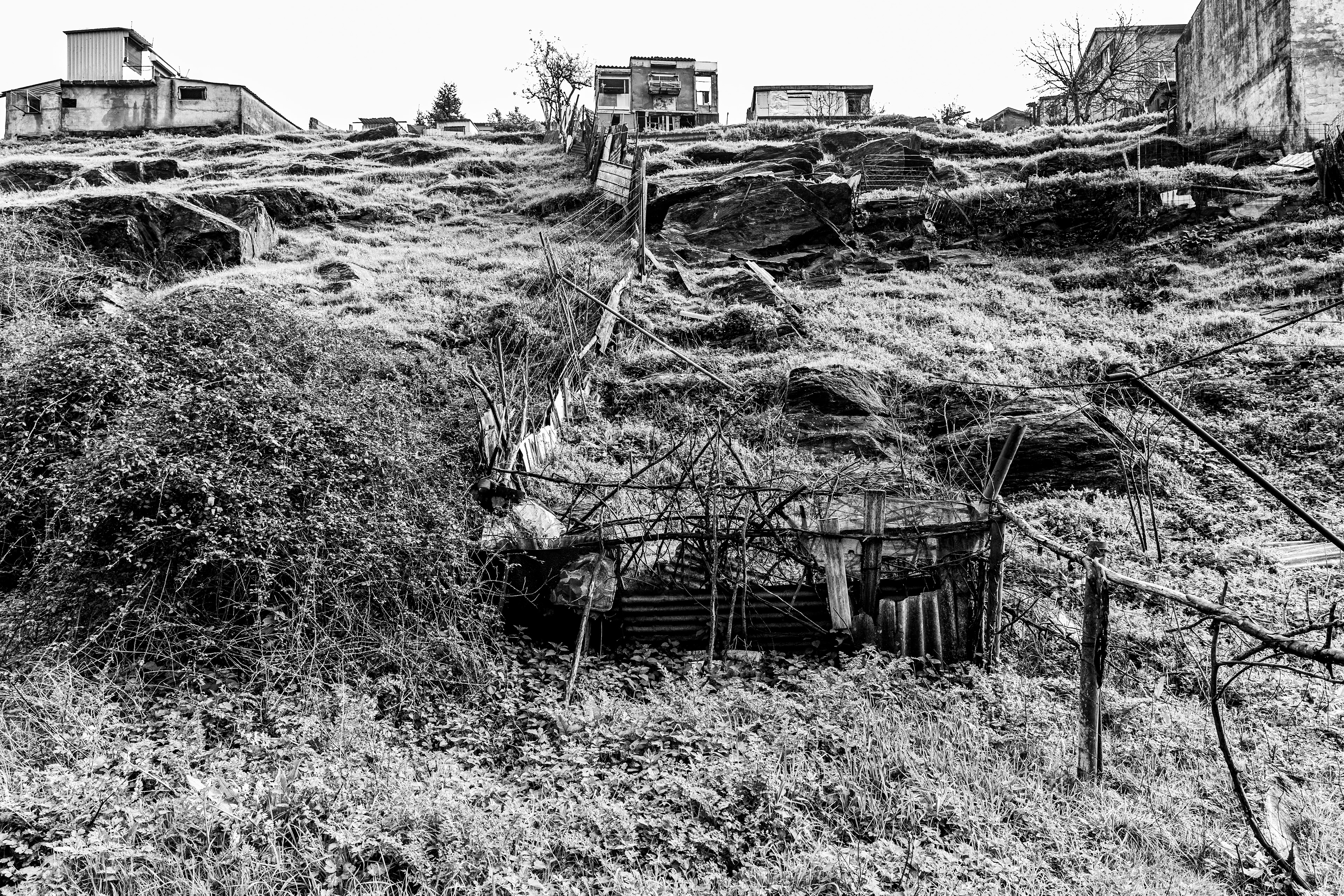 Valongo, Nord, Portugal, 2025