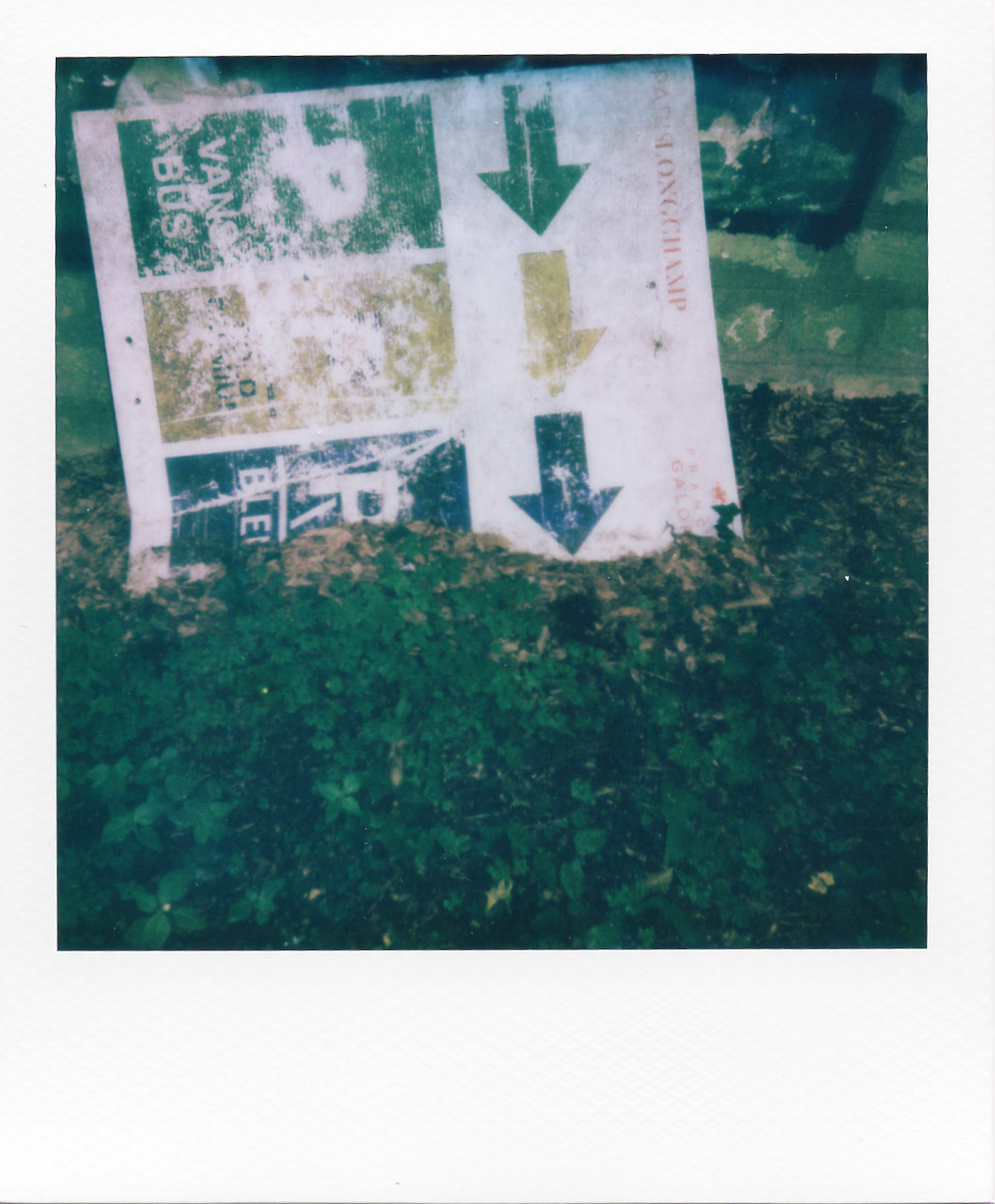 Série "Persistance", Parc Edmond-de-Rothschild, 2026 (Polaroid)
