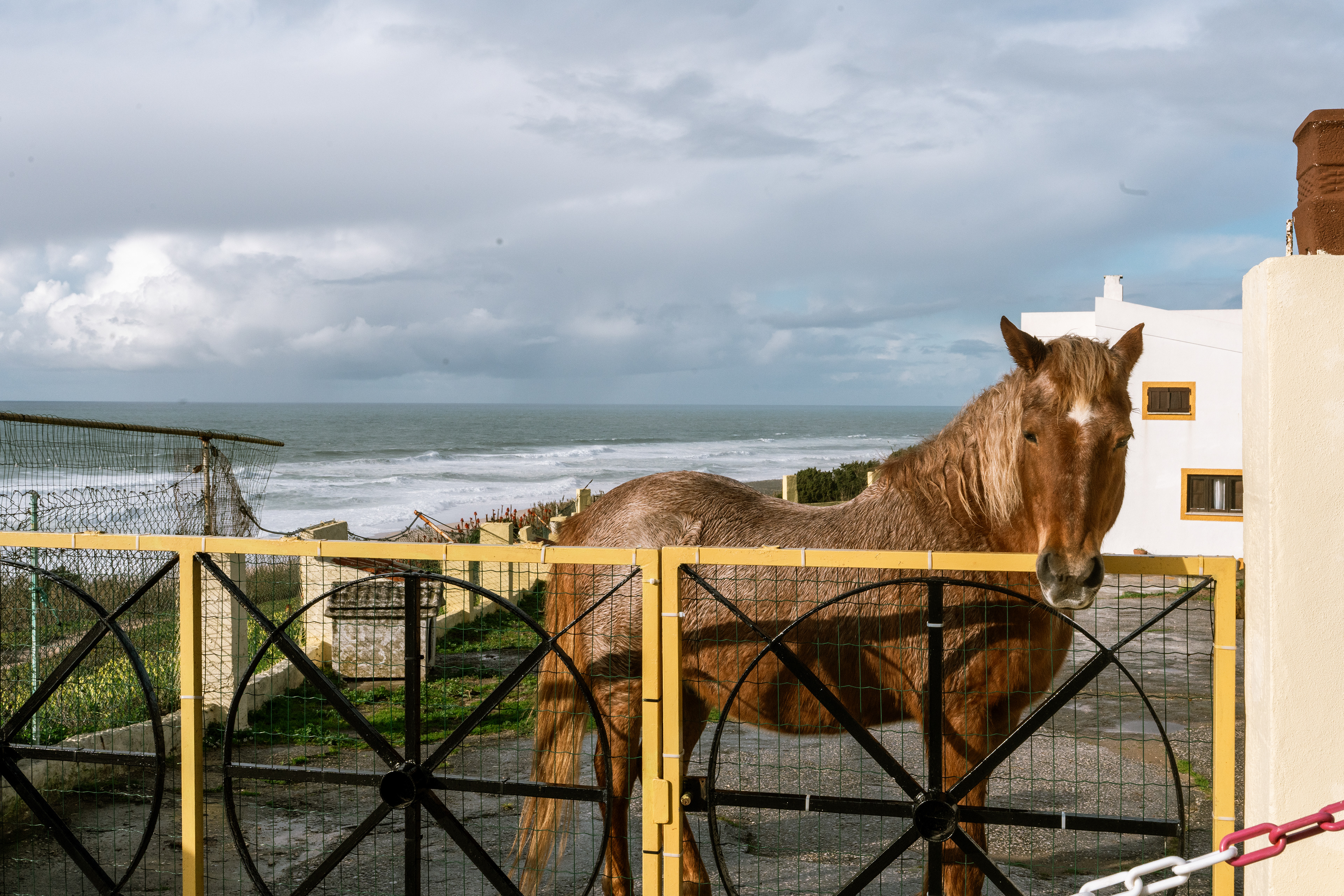 Nazaré, Ouest, Portugal, 2026