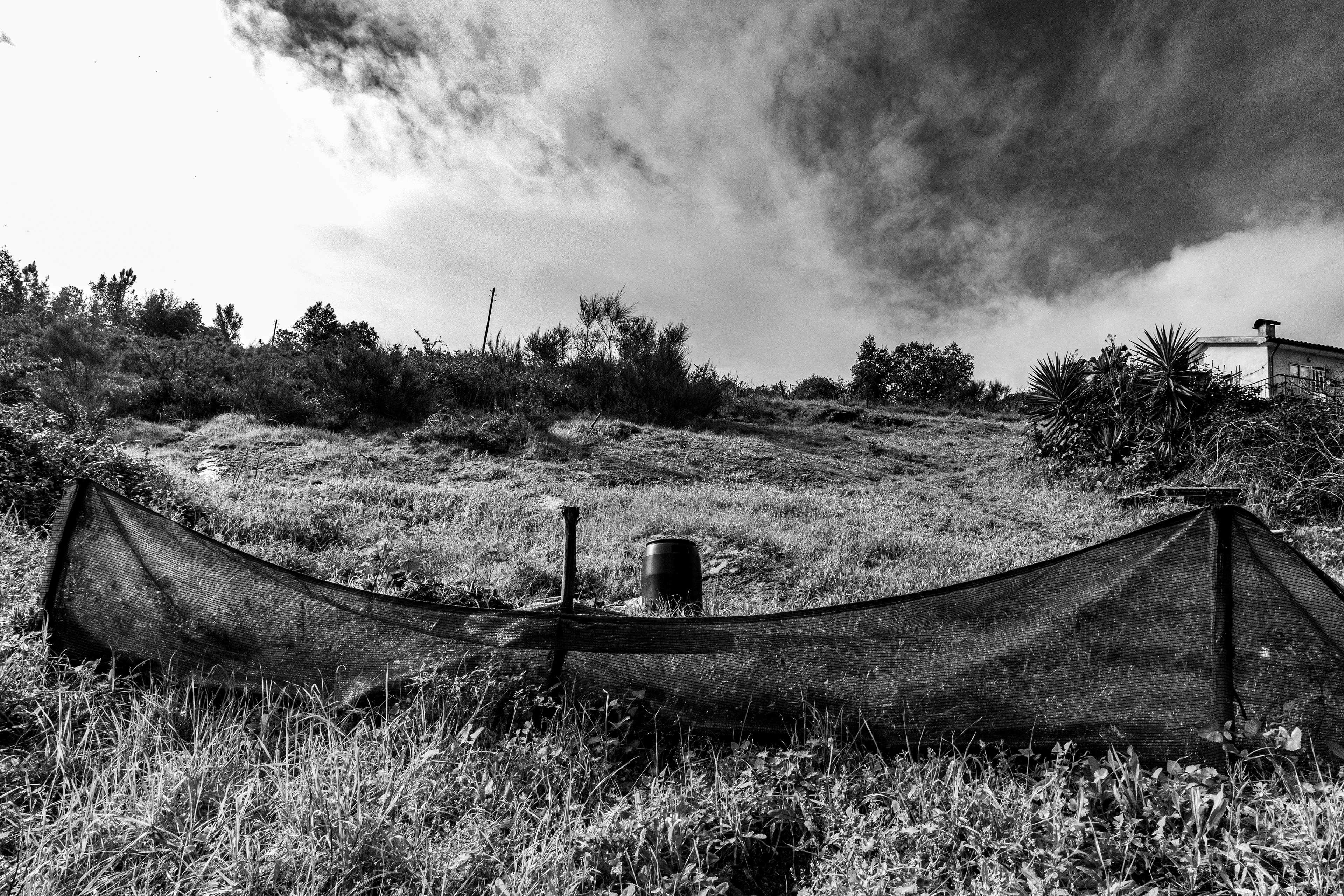 Valongo, Nord, Portugal, 2025