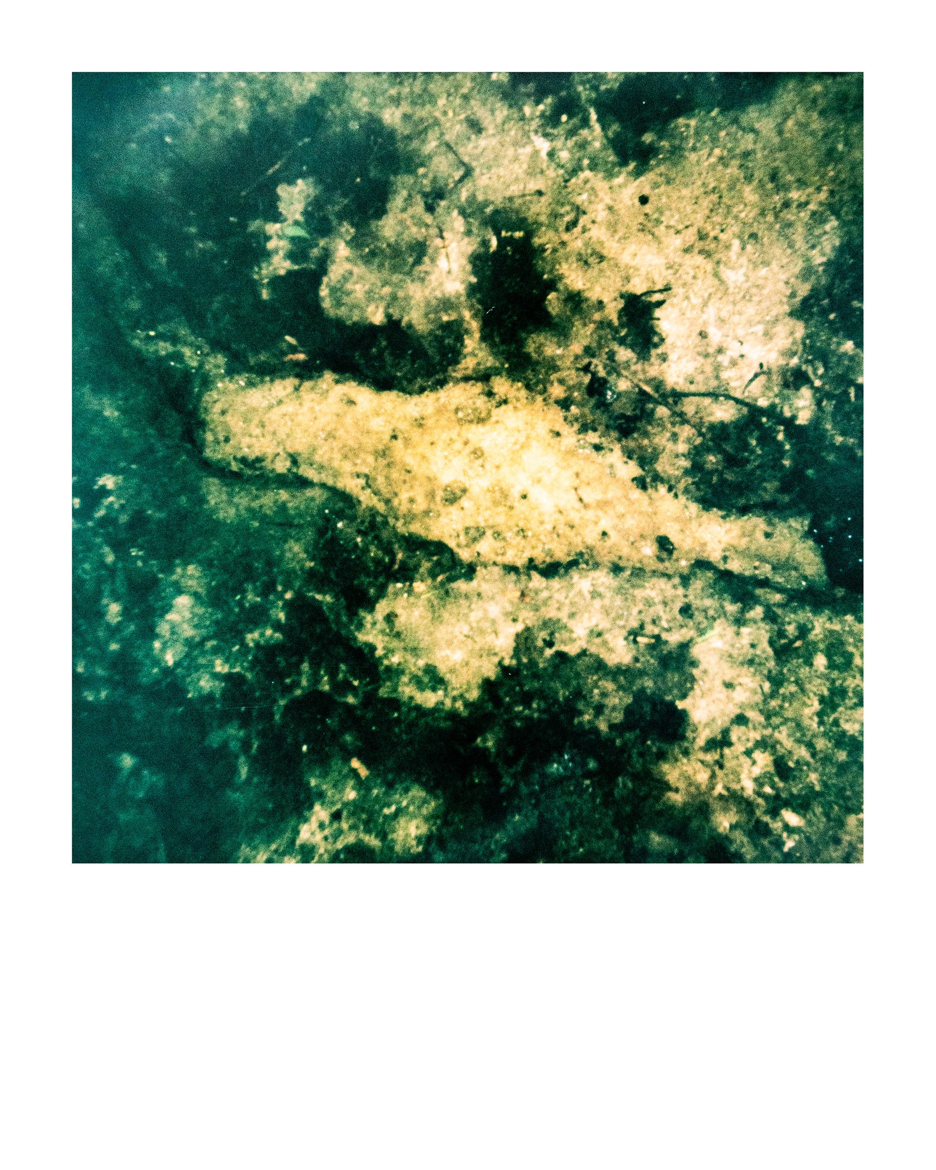 91200, Parc Edmond-de-Rothschild, Boulogne Billancourt, Hauts-de-Seine, France, 2026 (Polaroid)