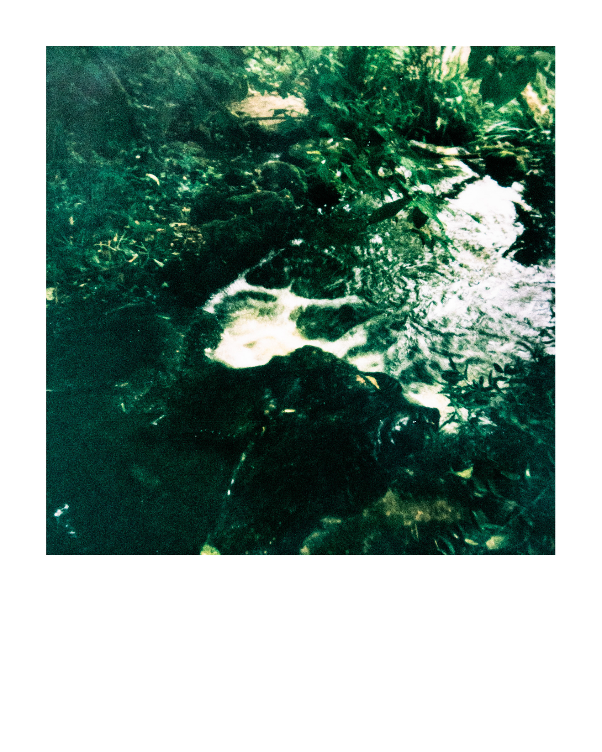 Série "Parcs", Parc Edmond-de-Rothschild, 2026 (Polaroid)