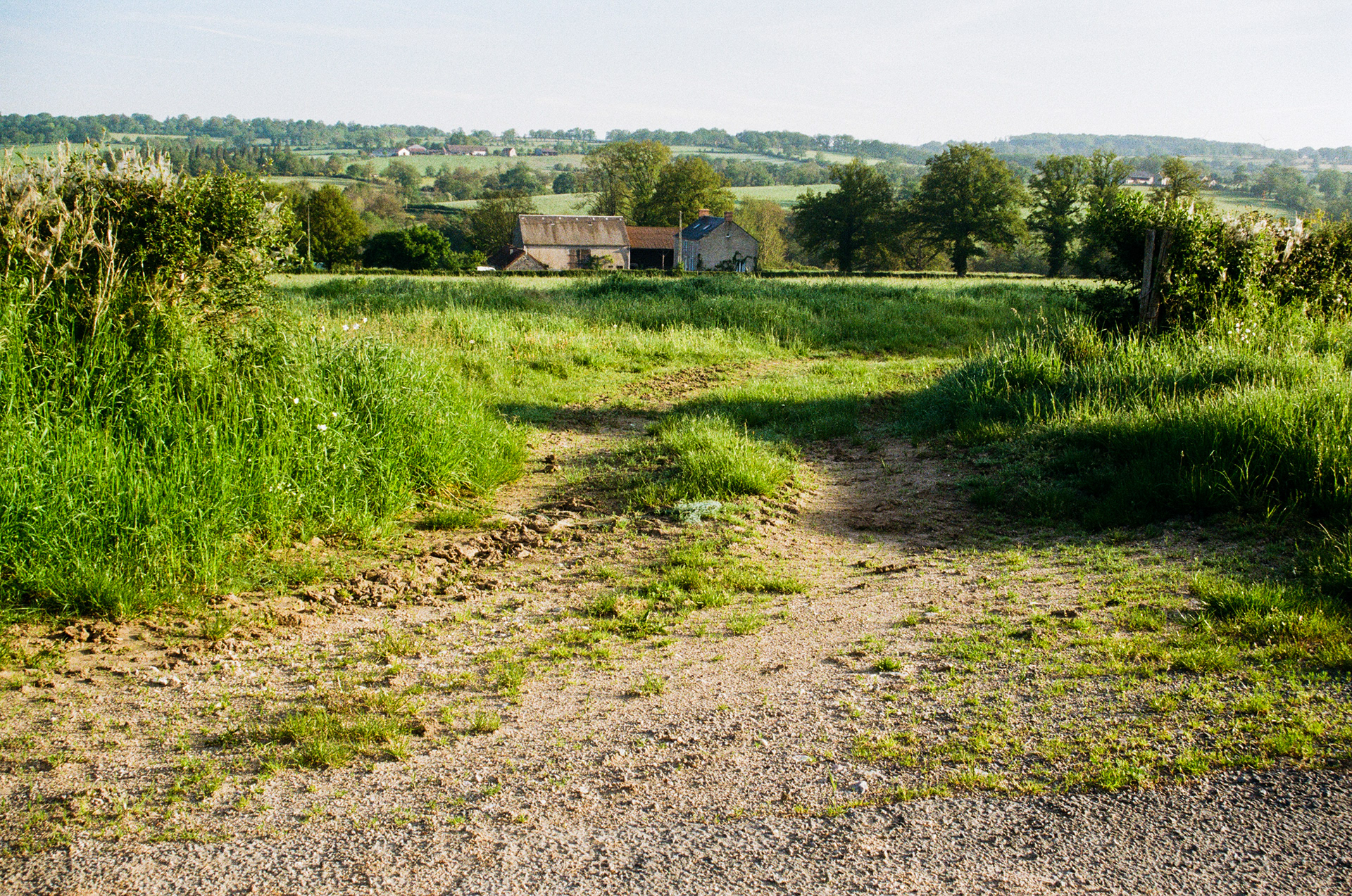 23600, Boussac, Creuse, Nouvelle-Aquitaine, France, 2024 (Argentique)