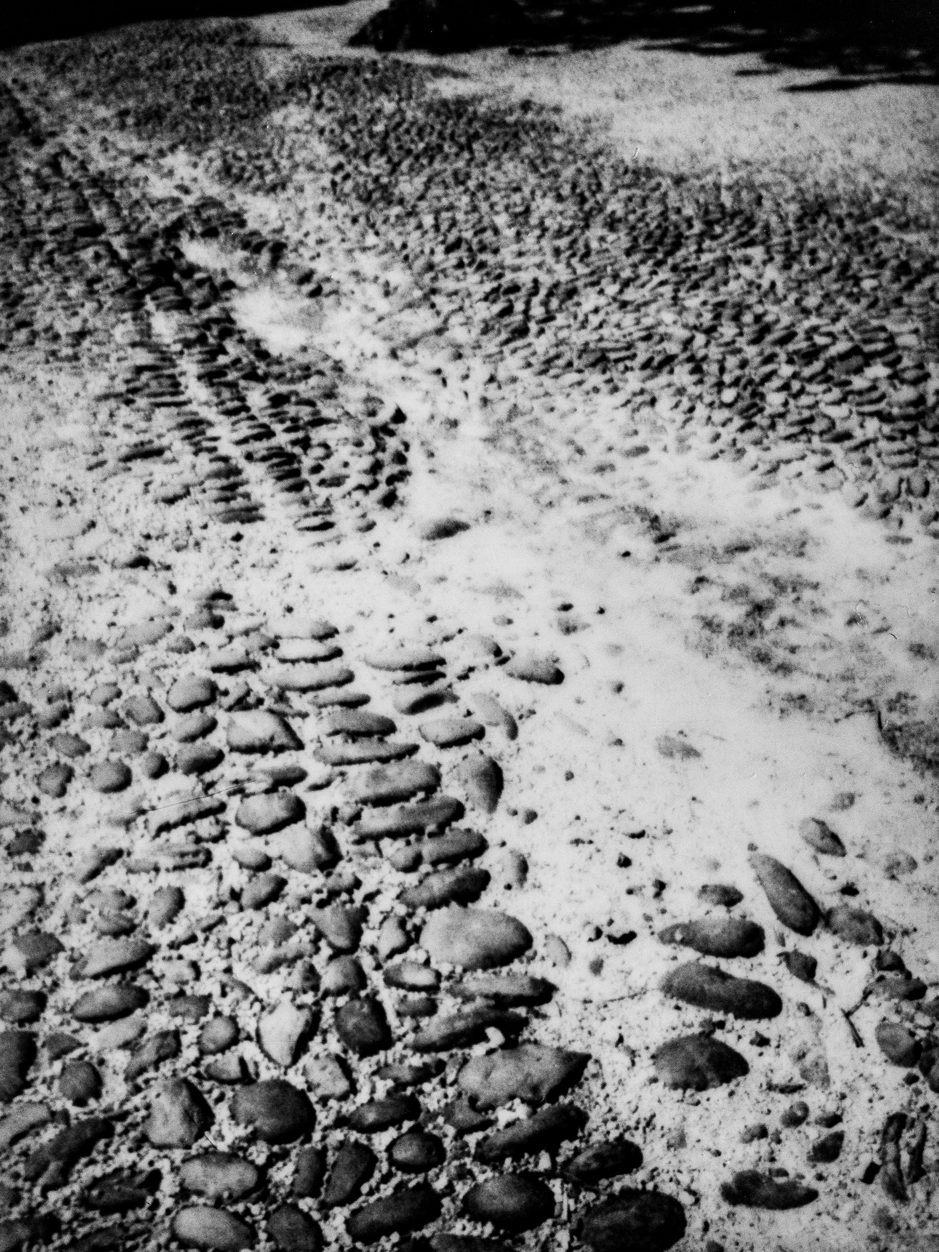 Pavés datant du Moyen-Âge, 38160, Saint Antoine l'Abbaye, Isère, Auvergne-Rhône-Alpes, France, 2026 (Polaroid)