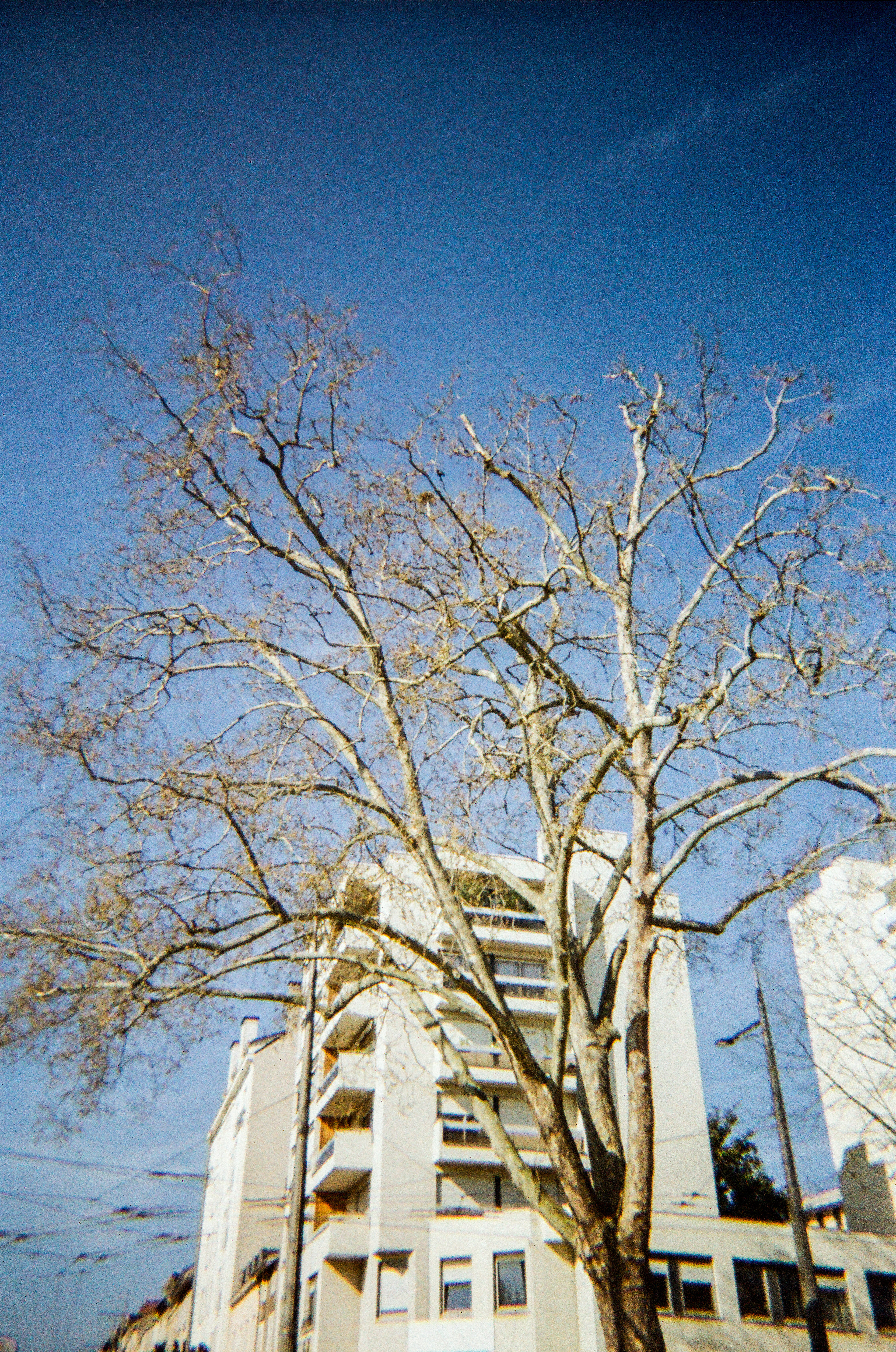 Limoges, Haute-Vienne, Nouvelle-Aquitaine, France, 2026